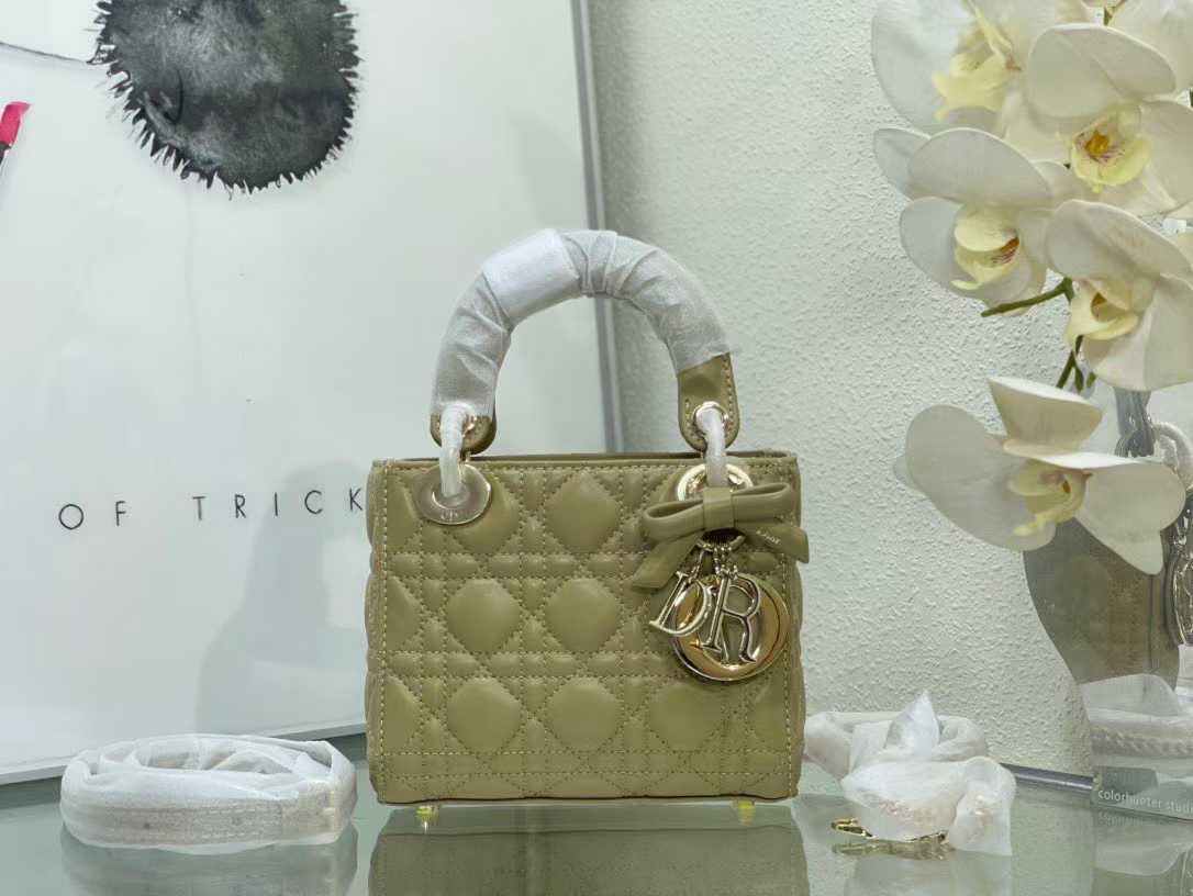 ماستر كواليتي Lady Dior  - صورة 1