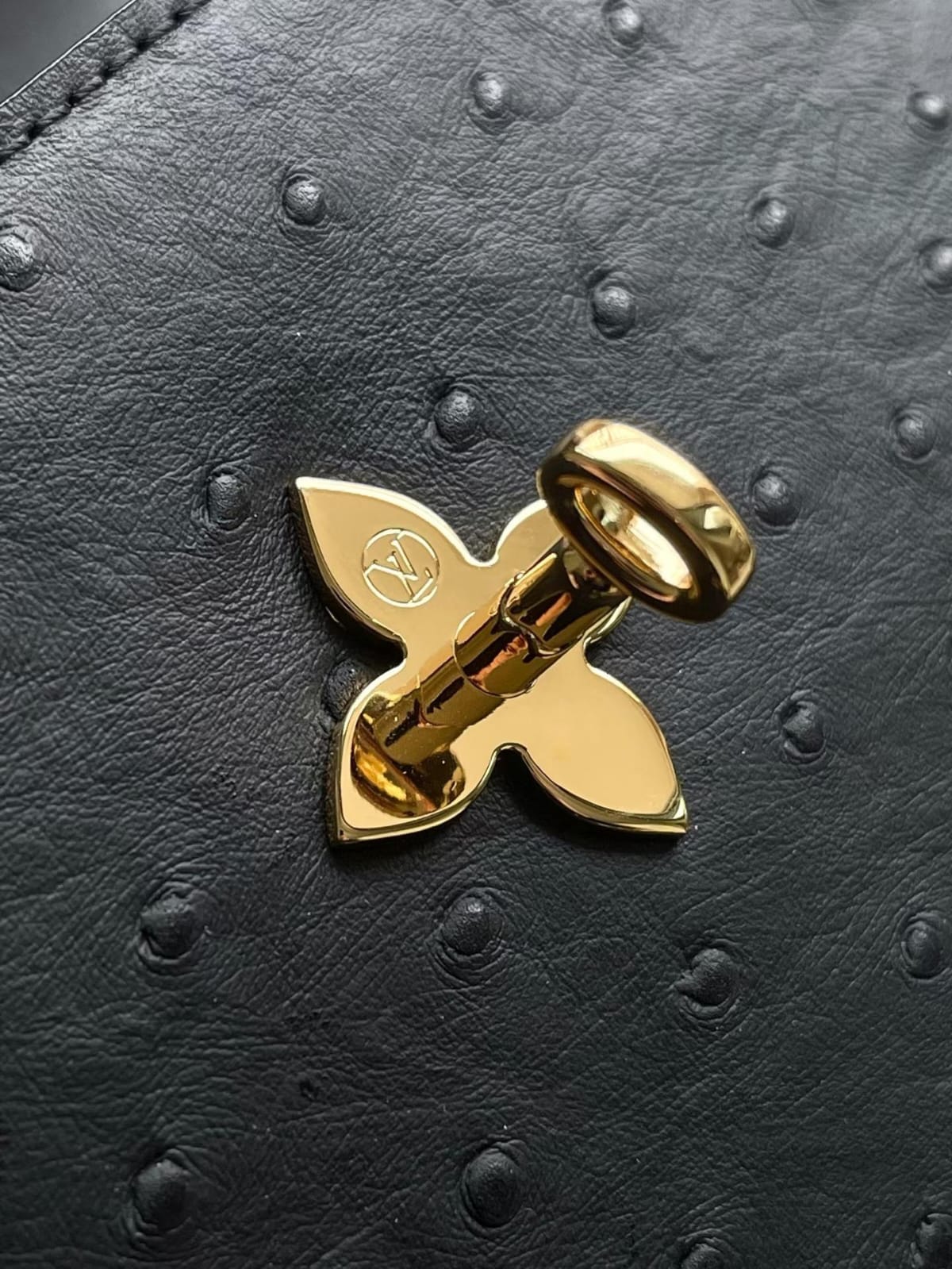 ماستر كواليتي لوي فيتون روس دي فينتس 19cm Louis Vuitton Rose Des Vents Mini - صورة 4
