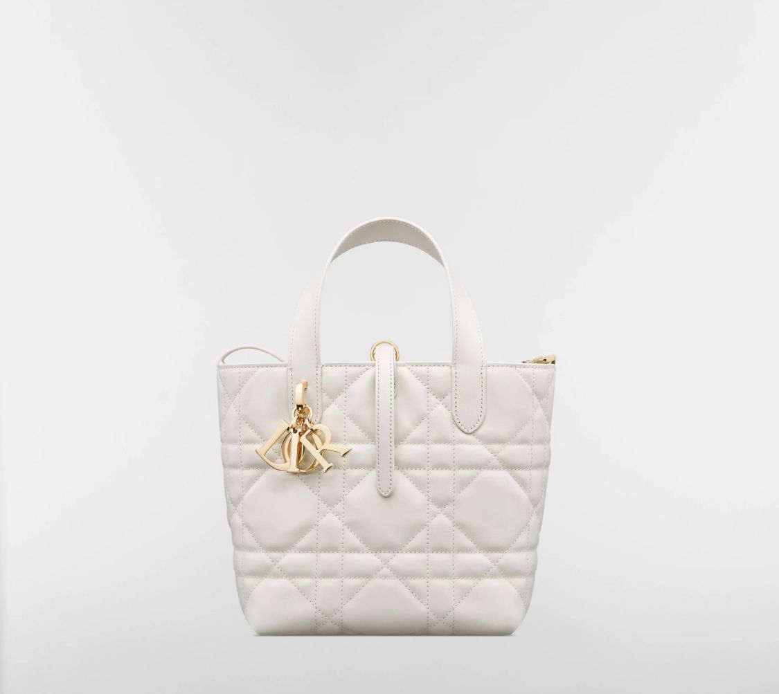 ماستر كواليتي ديور Small Dior Toujours Vertical Tote Bag - صورة 1