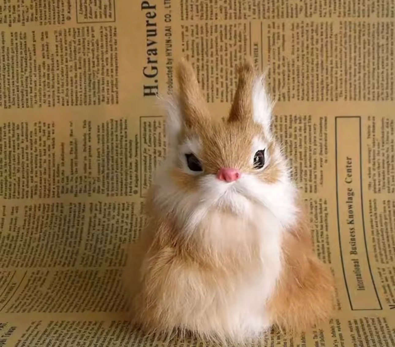 Rabit - صورة 6