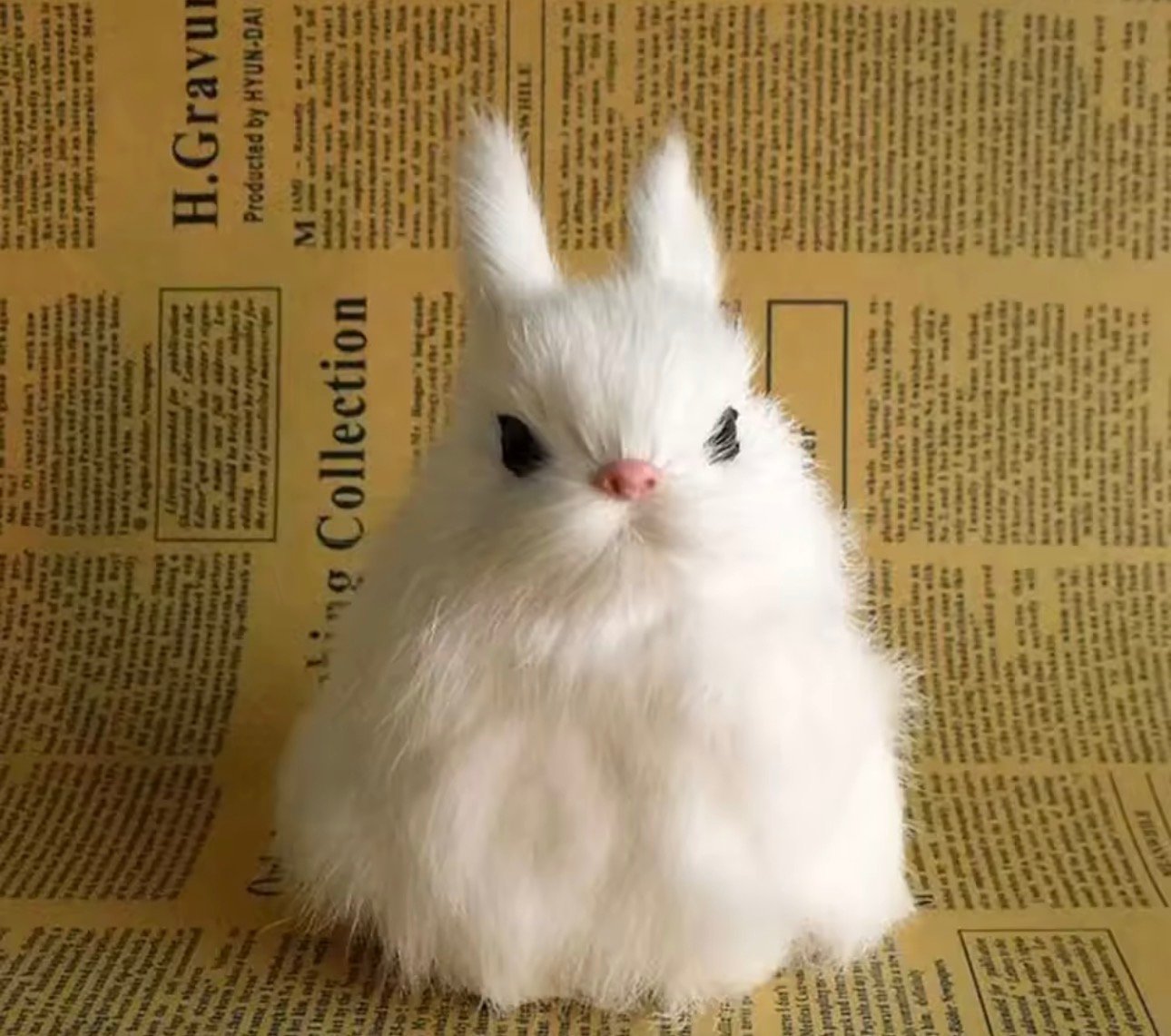 Rabit - صورة 5