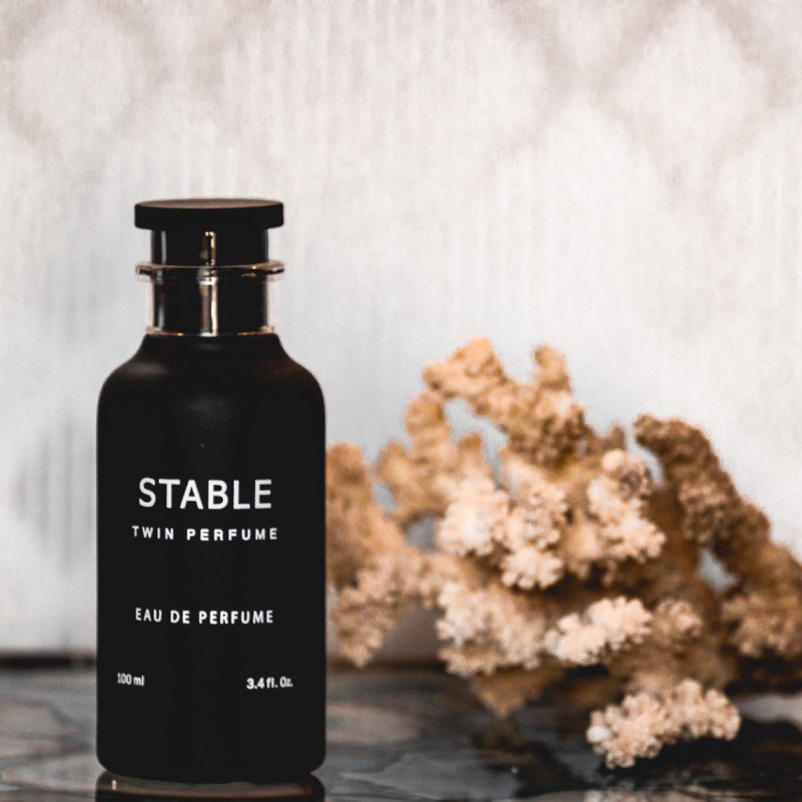 Stable - Image 1