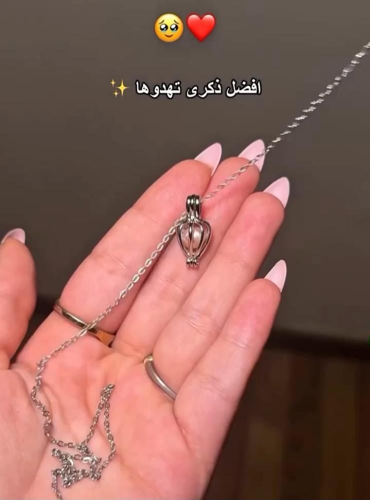 بكج المحار الأكثر طلباً - صورة 2