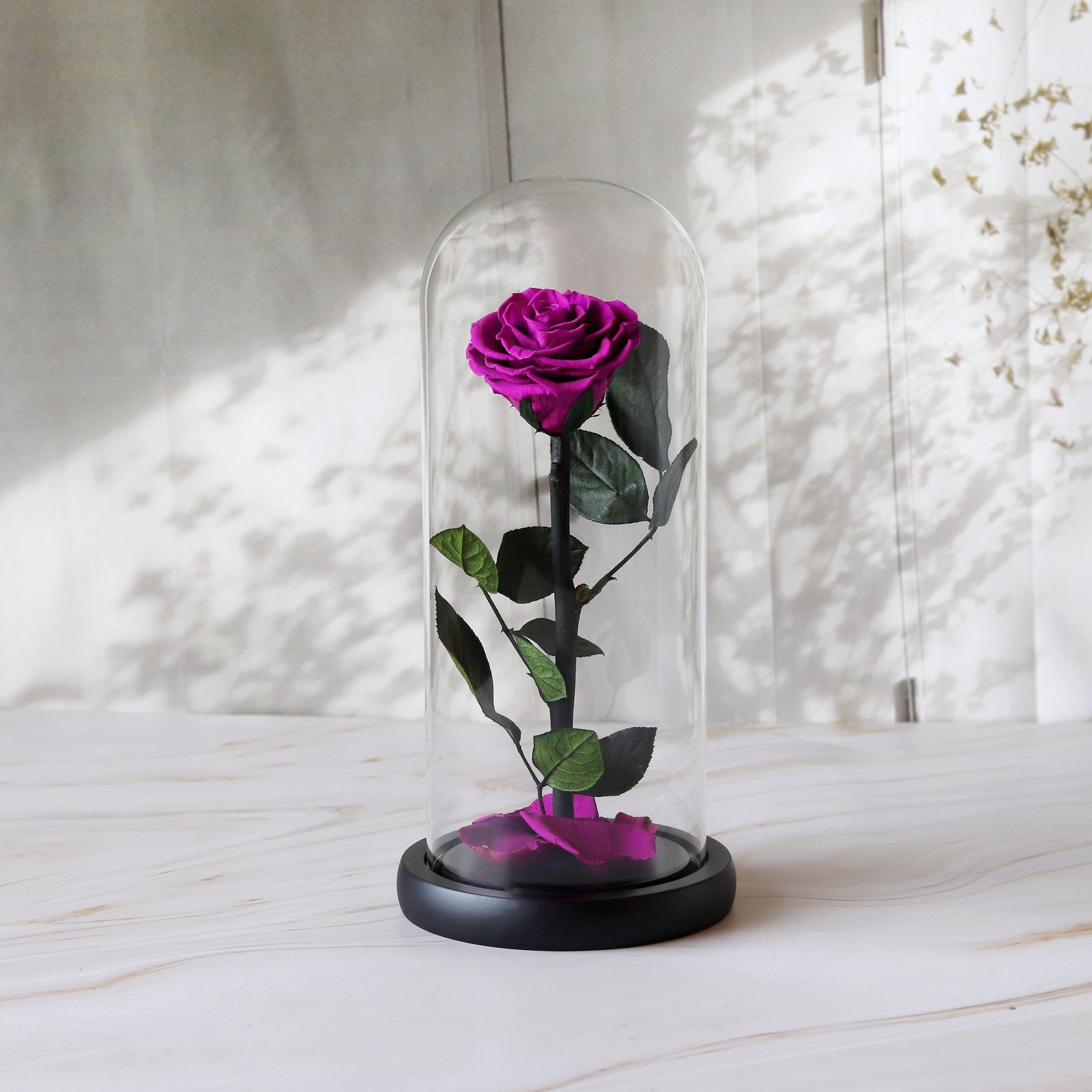 A Purple Enclosed Rose in a Glass Dome - Image 1