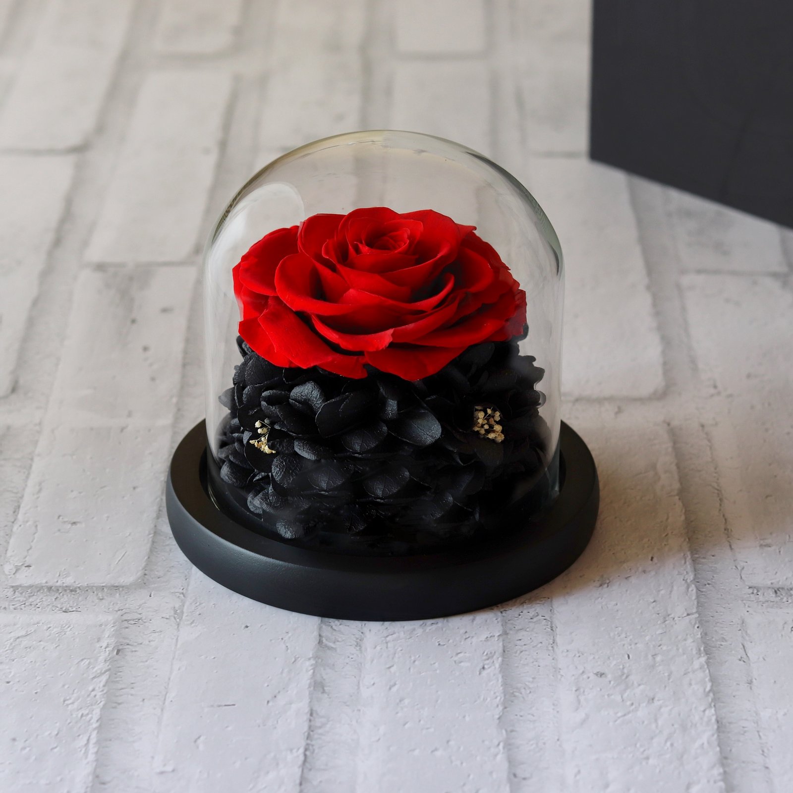  Preserved Rose in a Glass Dome from Dime Roses - Image 1