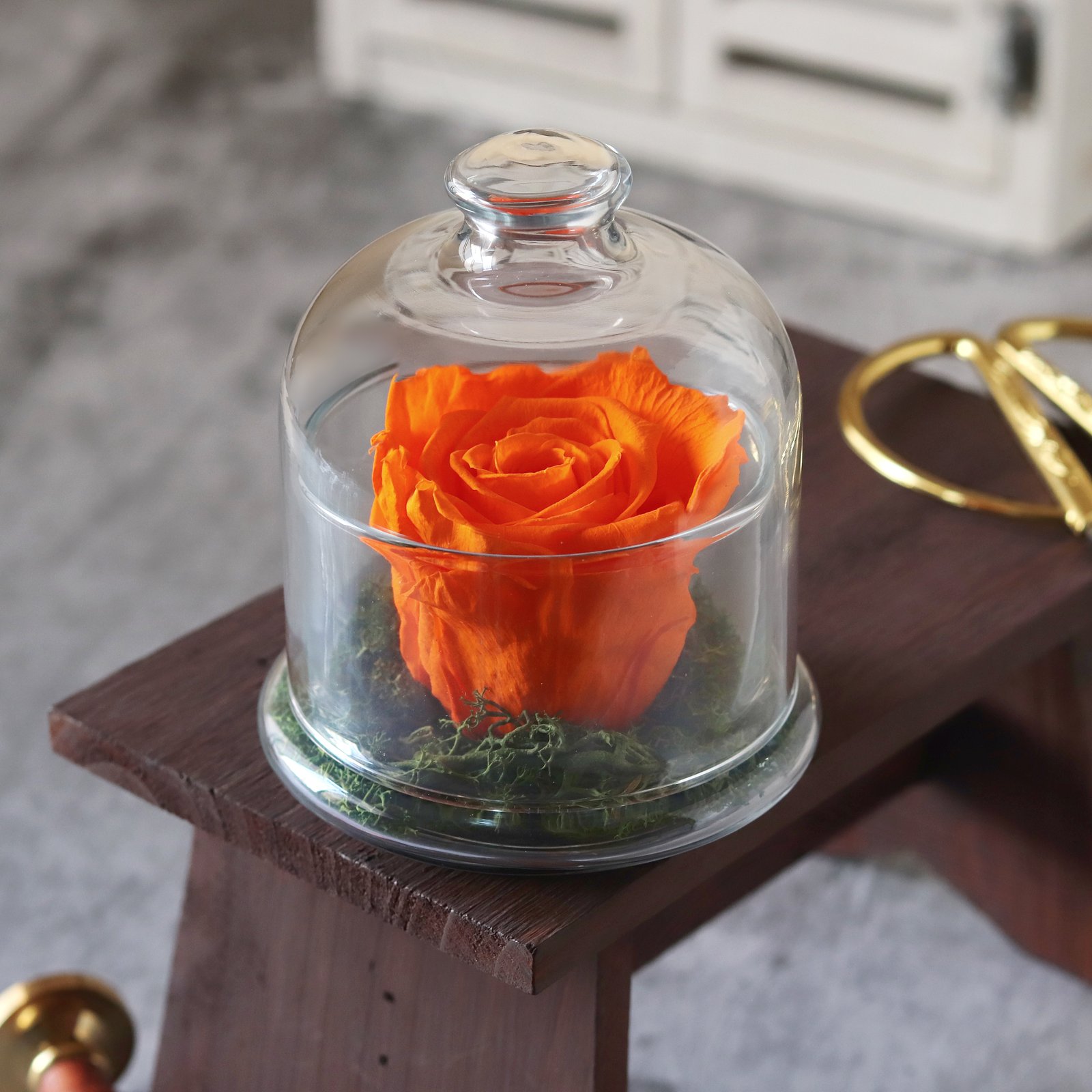 Dime Orange Flowers - Image 1