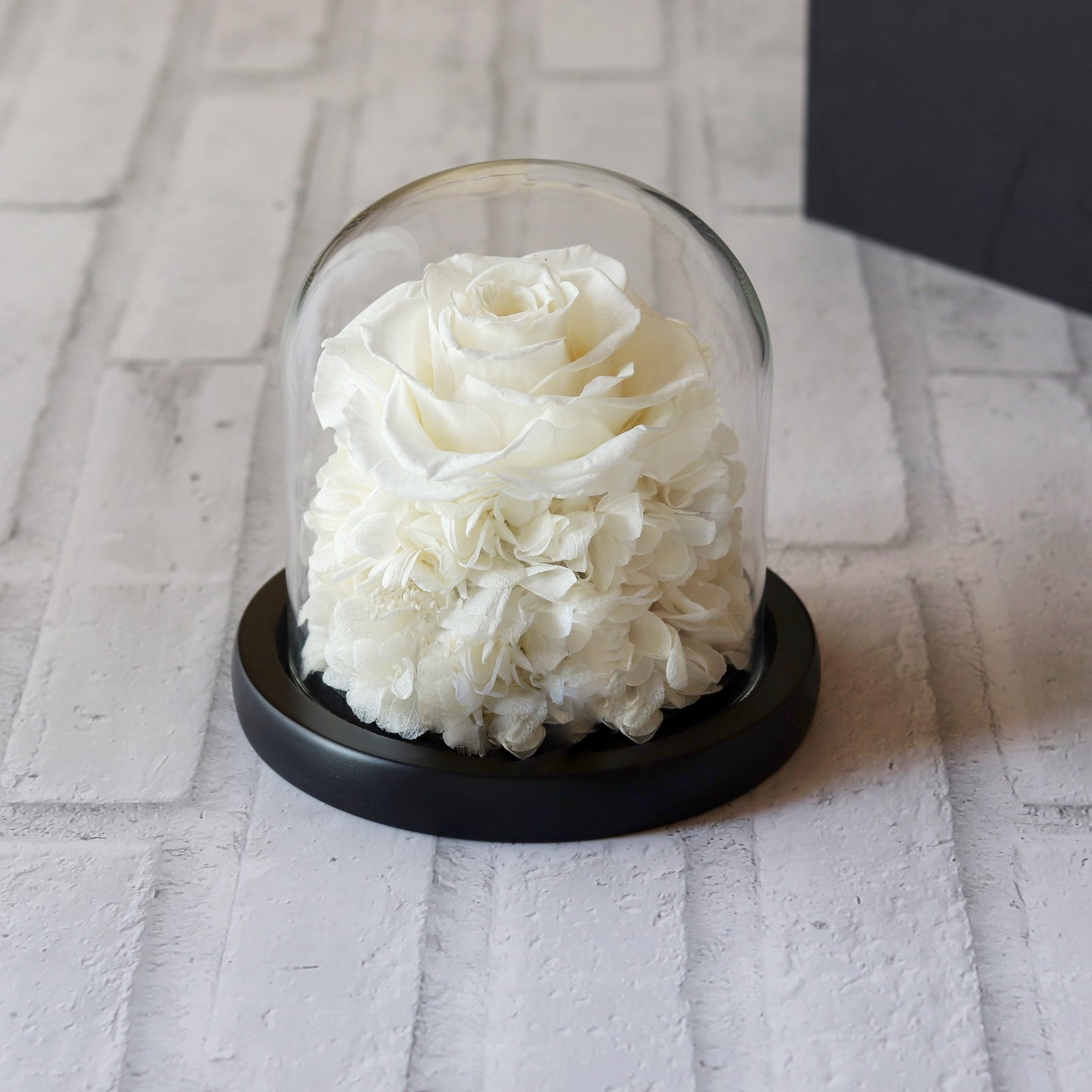  Preserved White Rose in a Small Glass Dome  - Image 1