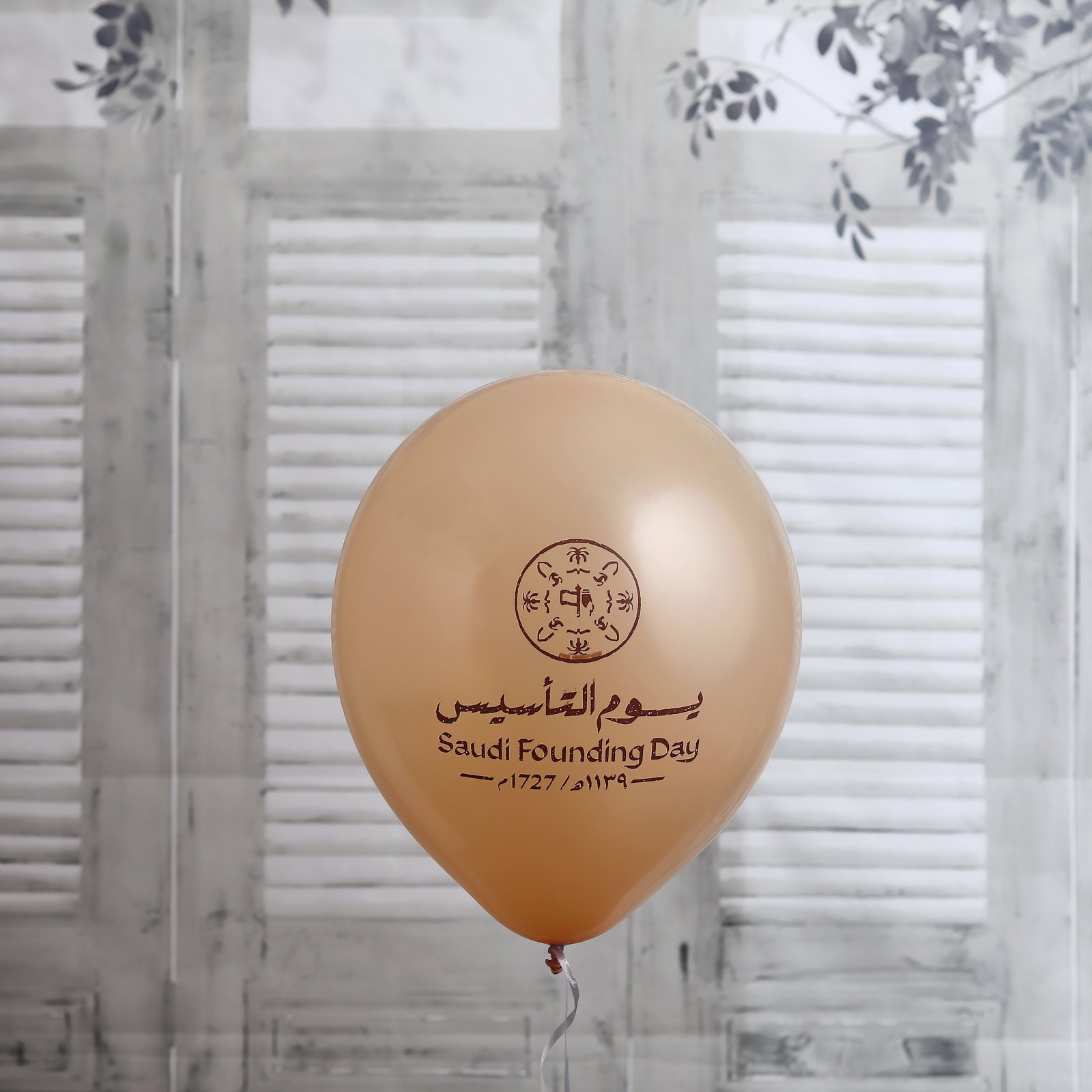 Brown Balloons For Foundation Day - Image 1