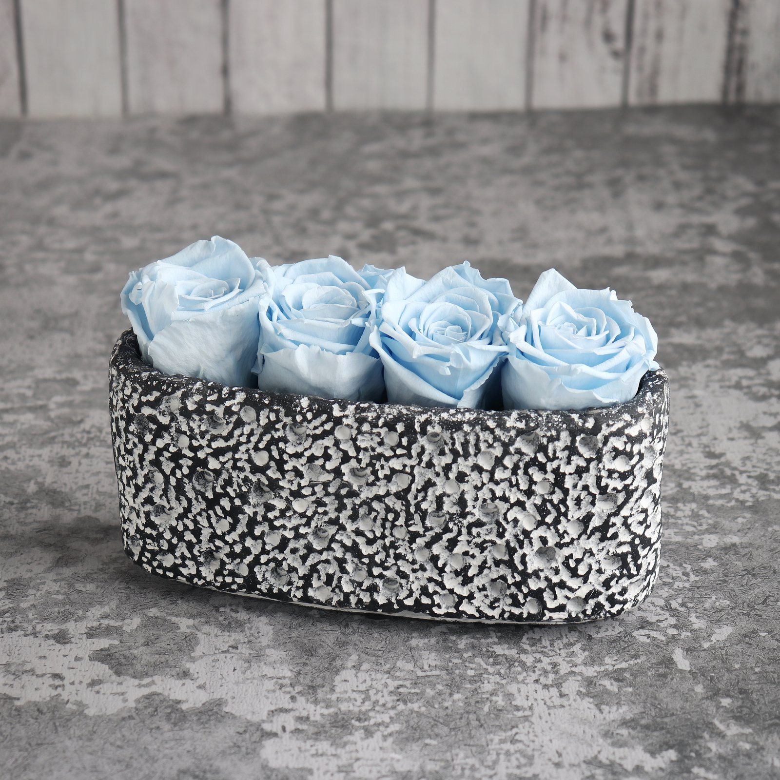 Permanent Blue-Sky Roses in a Cement Box - Image 1