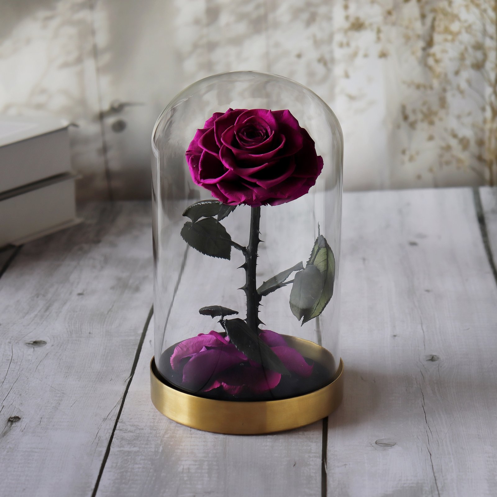 Purple Flower in Dome Vase - Image 1