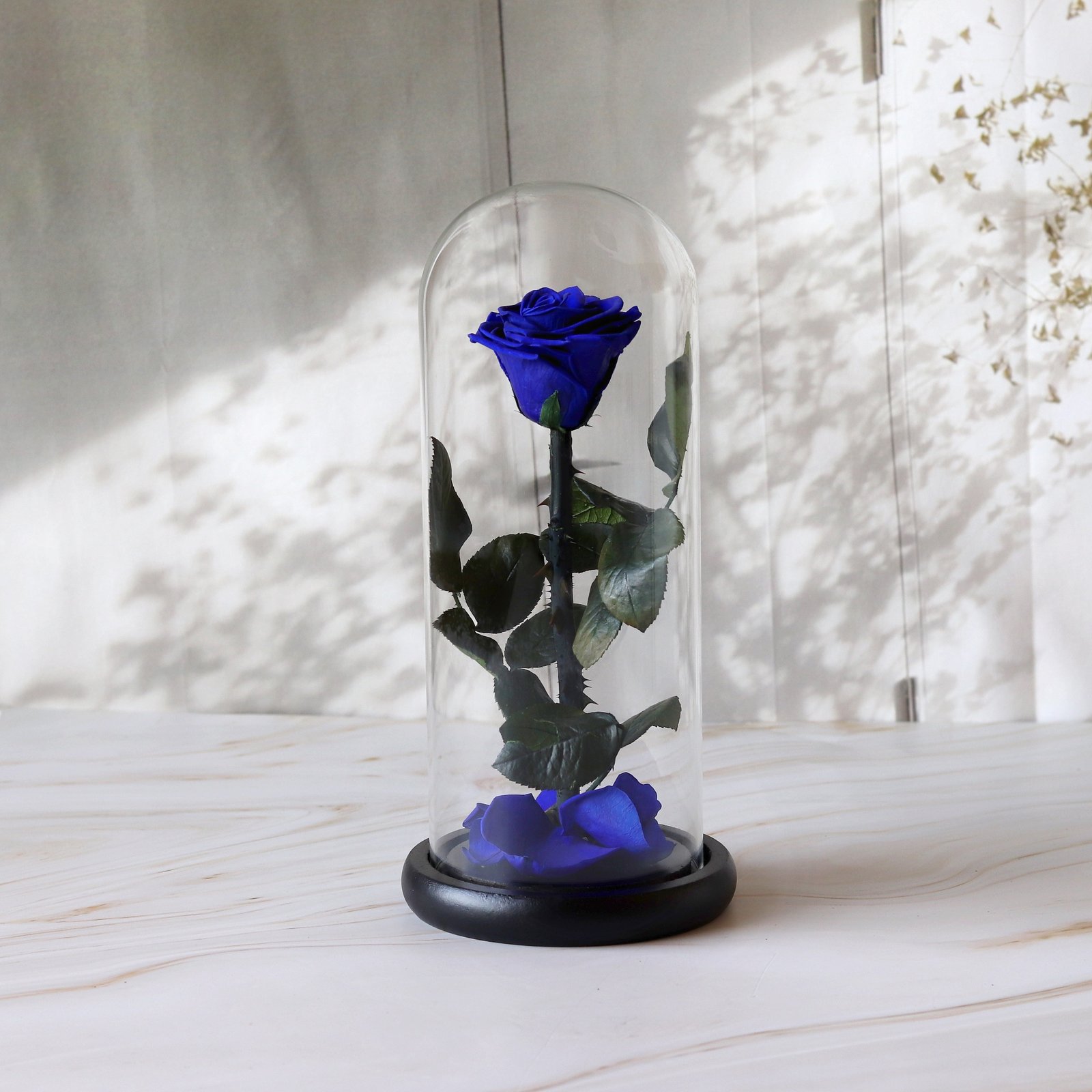 A Blue Enclosed Rose Enclosed in a Glass Dome - Image 1