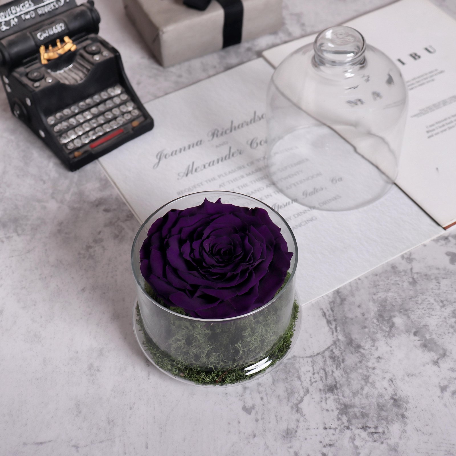 Preserved Violet Rose Dome - Image 1