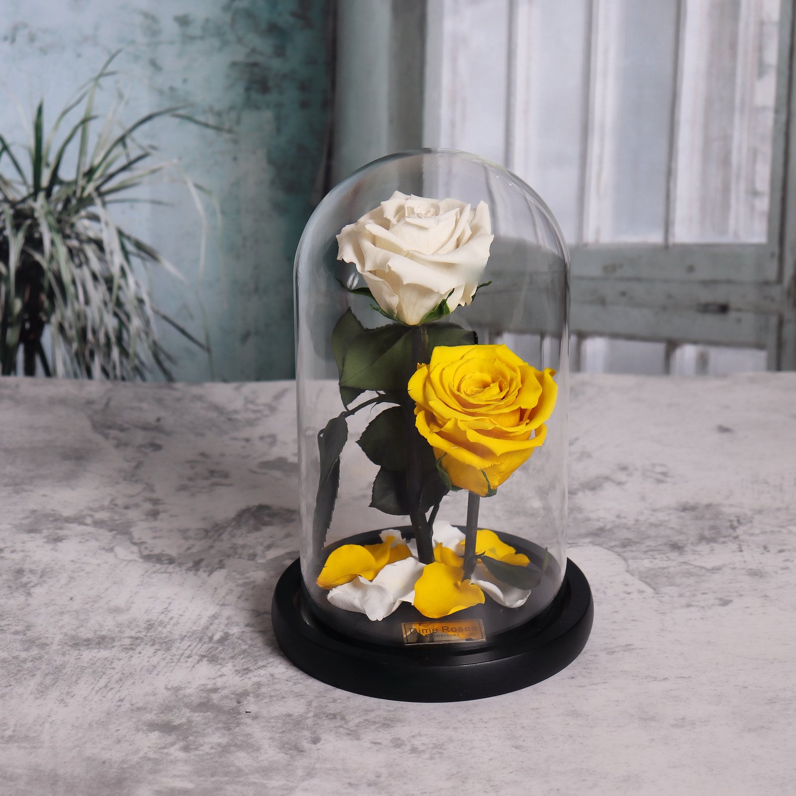 Preserved flowers in a vase - Image 2