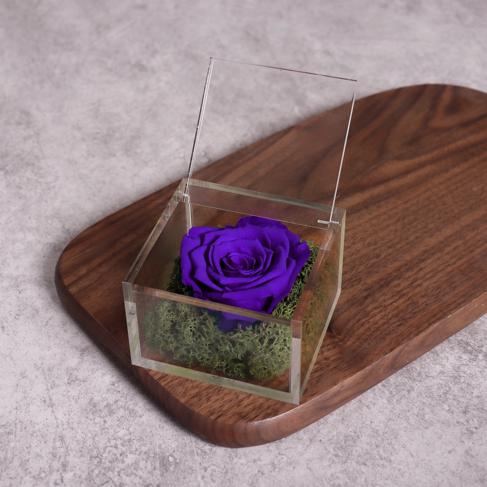 Purple roses live for a year - Image 2