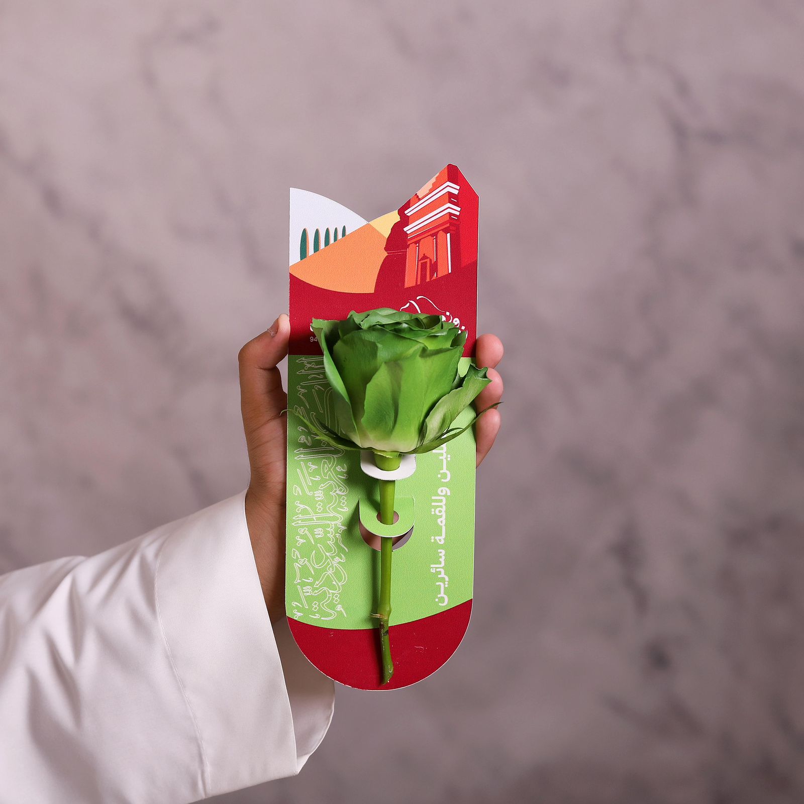   Green Roses Distributions For Saudi National Day - Image 2