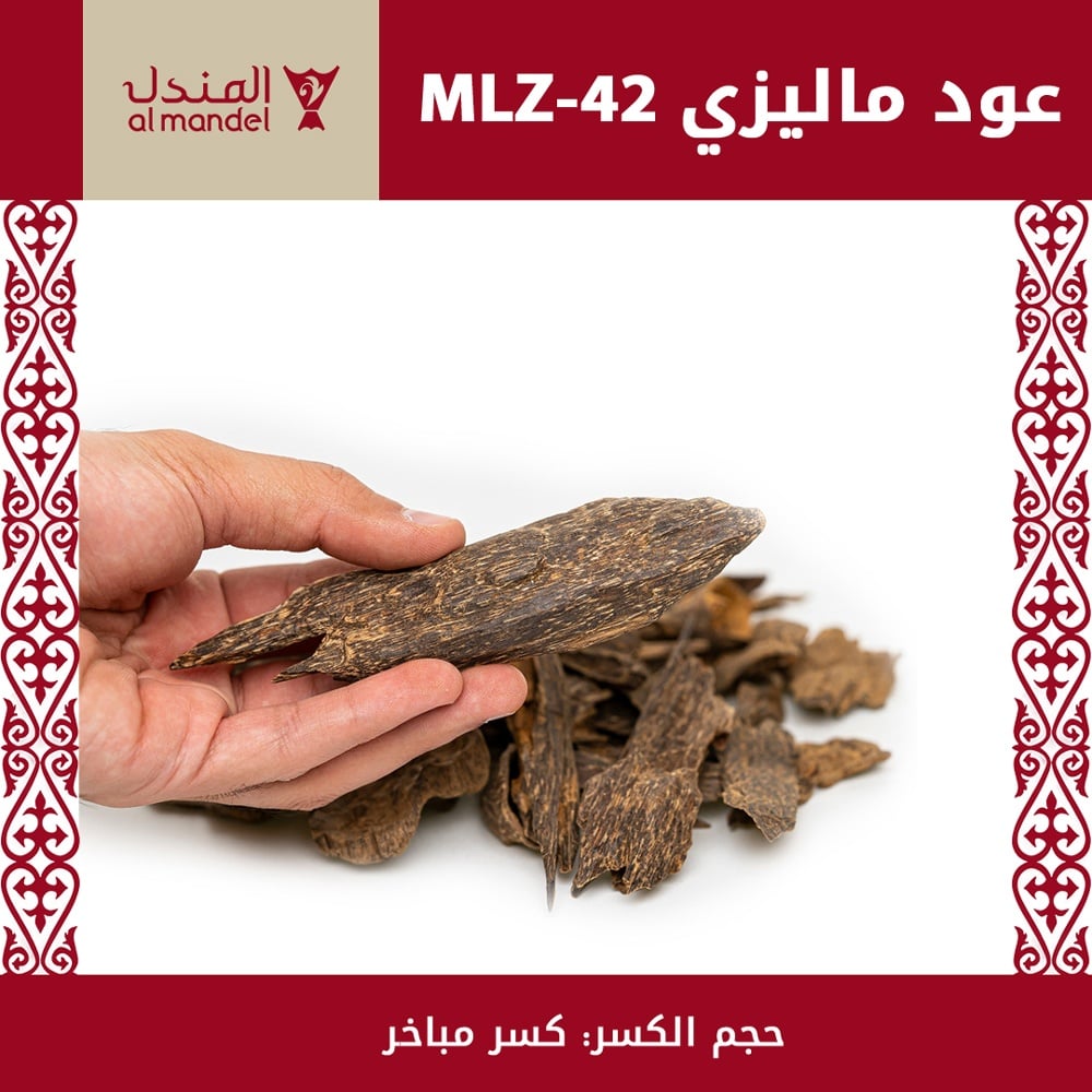 عود ماليزي  نادر MLZ-42 - صورة 1