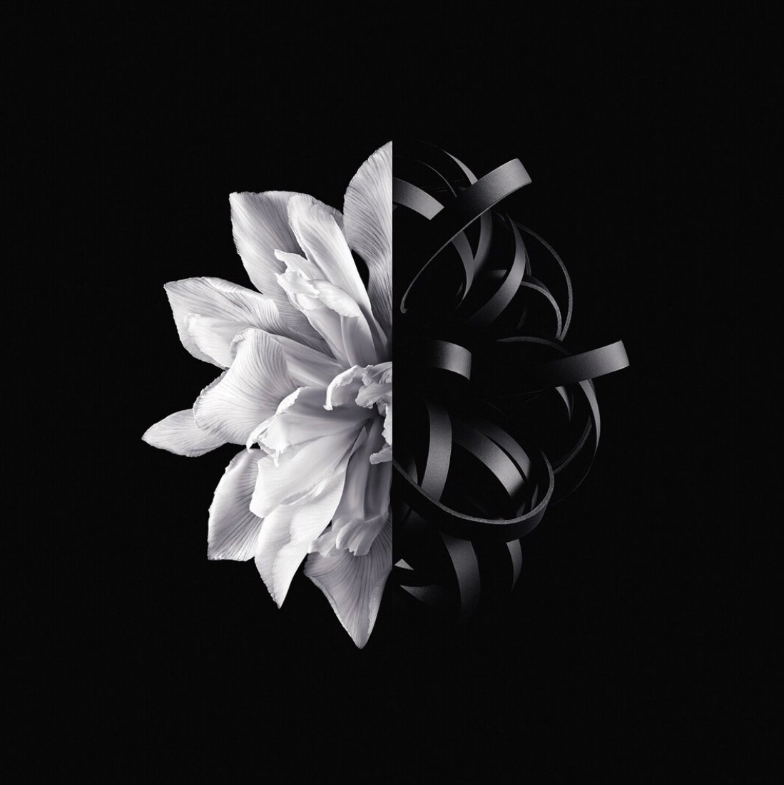 عطر لانتيرديت من جيفنشي للنساء - او دي تواليت - Image 5
