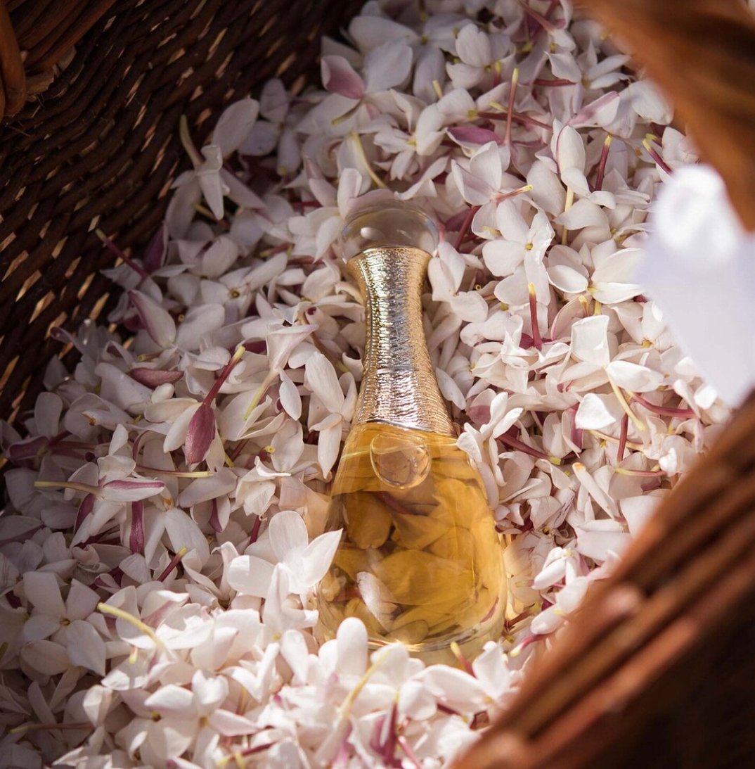 جادور لور أصنص عطري لور أو دو برفان 40 مل - Image 4
