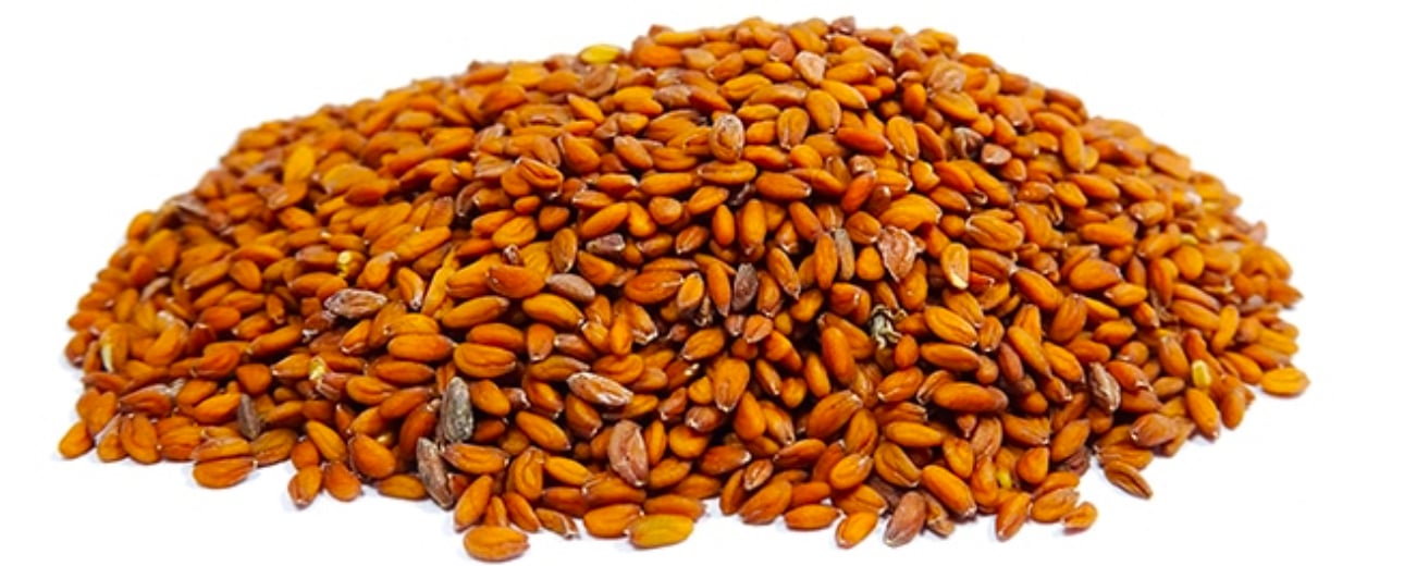 حب الرشاد 250 جرام - صورة 2