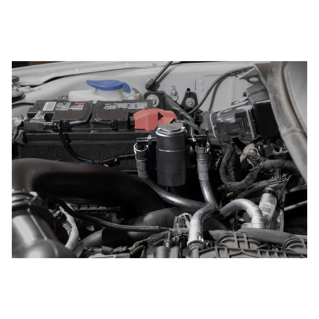 K&N | اويل كاتش كان 0800-81 - F150 - صورة 11