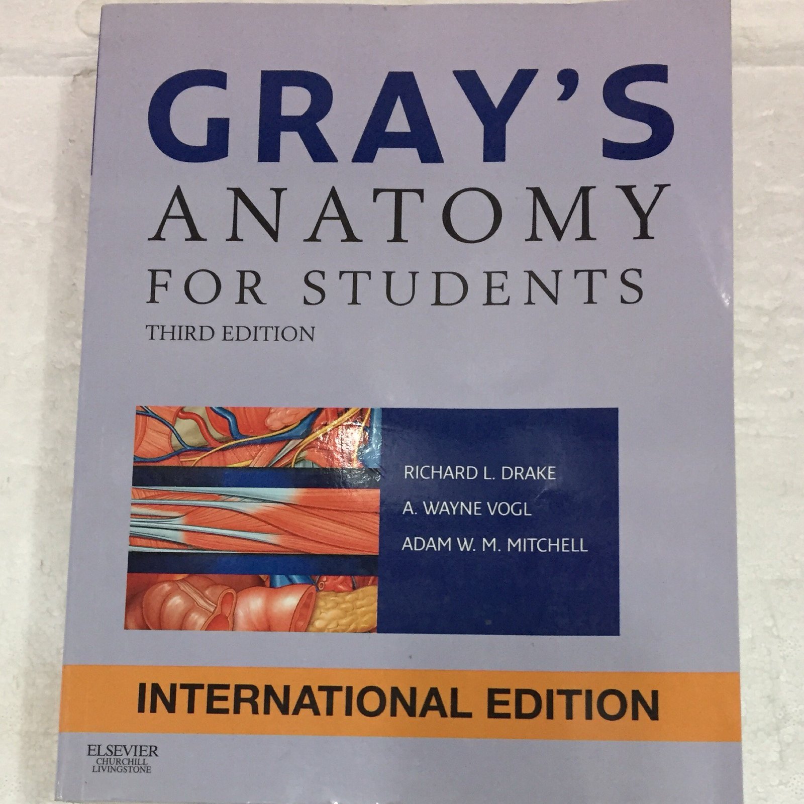 gray’s anatomy for students - صورة 1