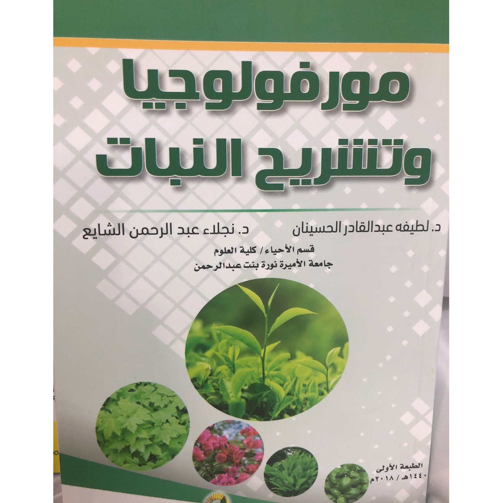 مورفولوجيا وتشريح النبات - صورة 1