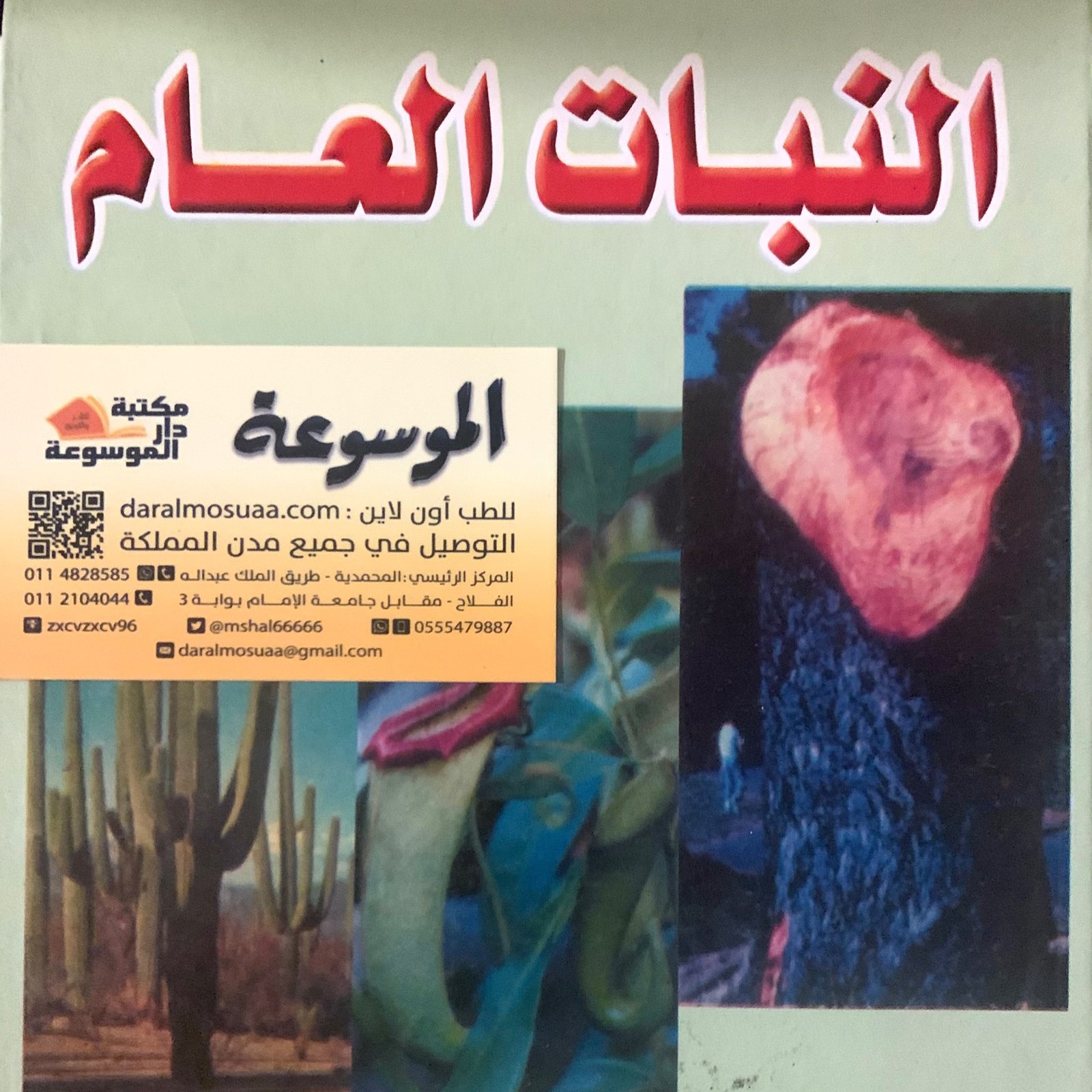 النبات العام - صورة 1