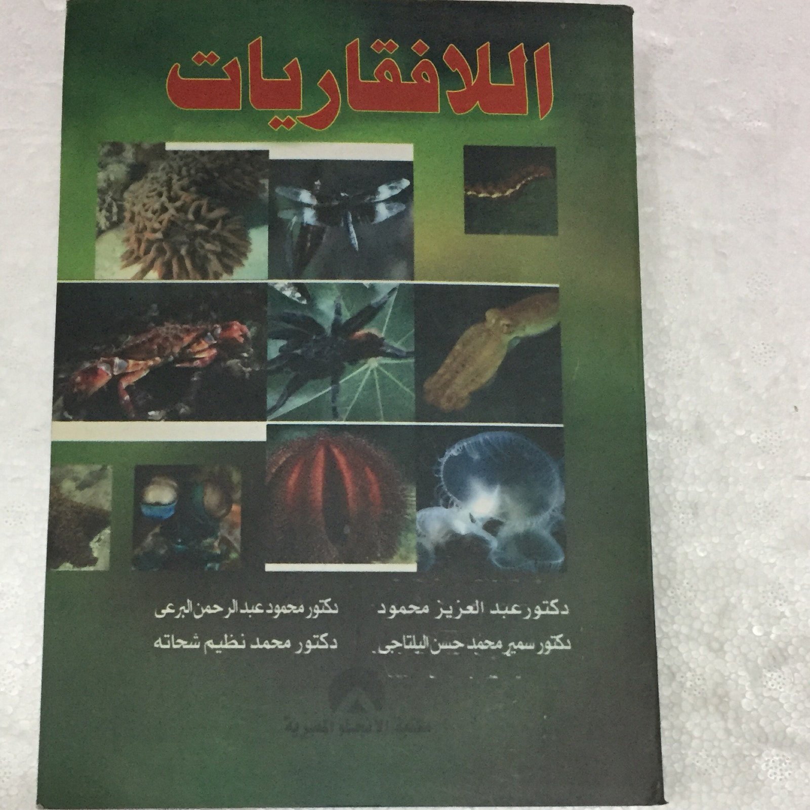 اللافقاريات - صورة 1