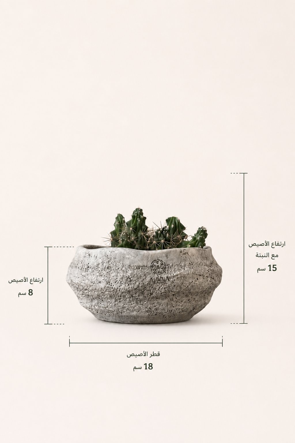 نبتة صبار  - Image 2