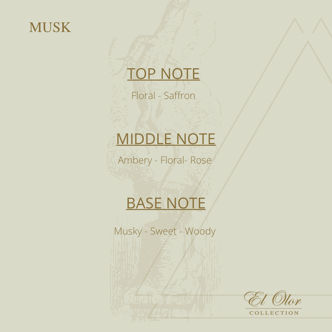Musk - 250 ml - Image 3