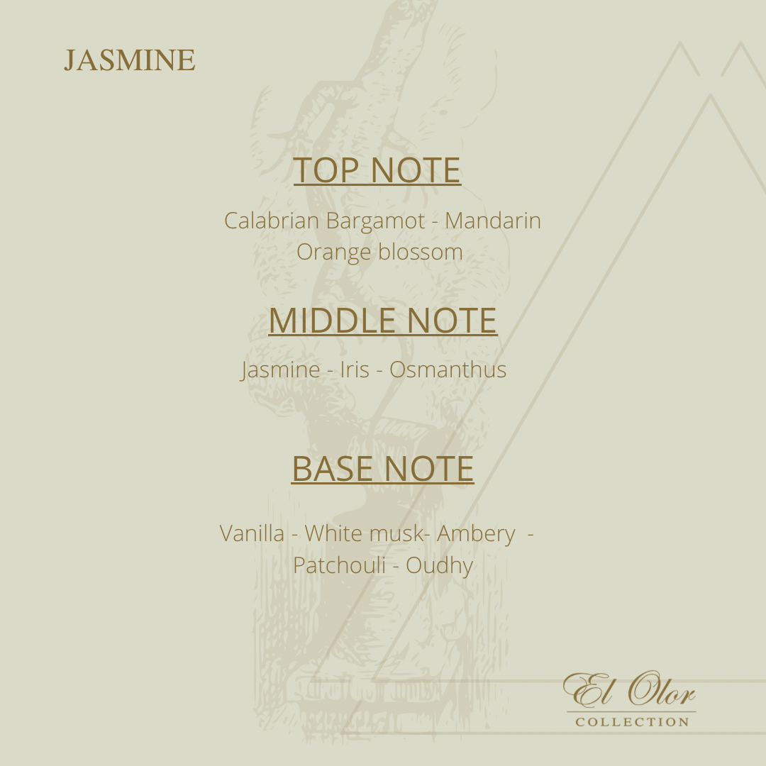 Jasmine - 250 ml - Image 3
