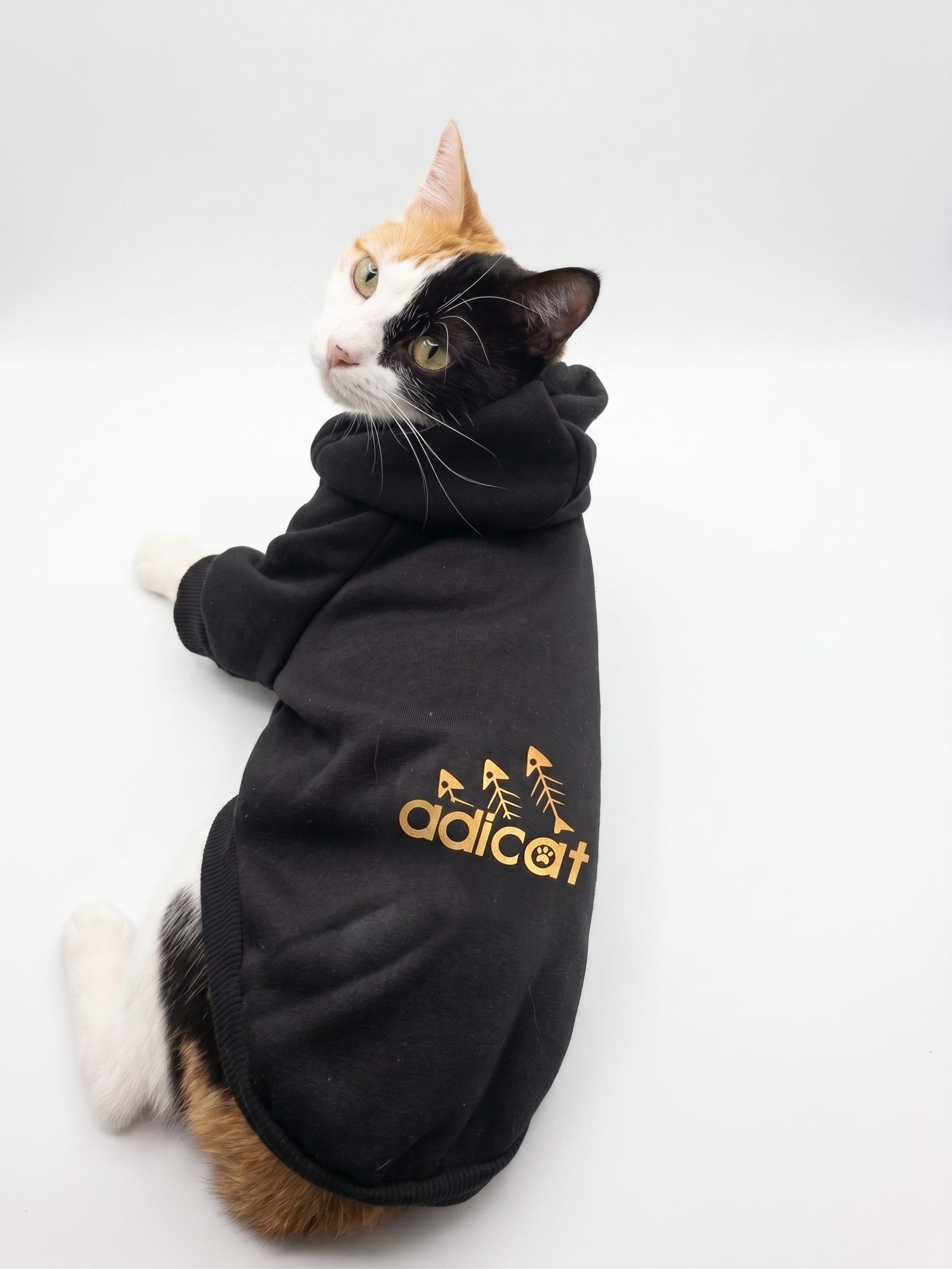 هودي adicat - صورة 1
