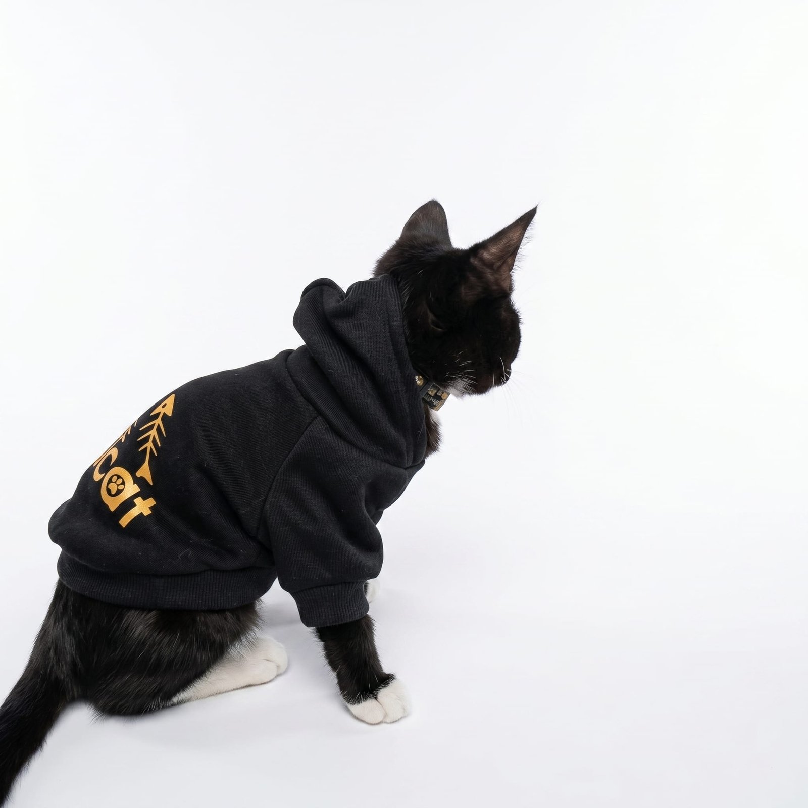 هودي adicat - صورة 4