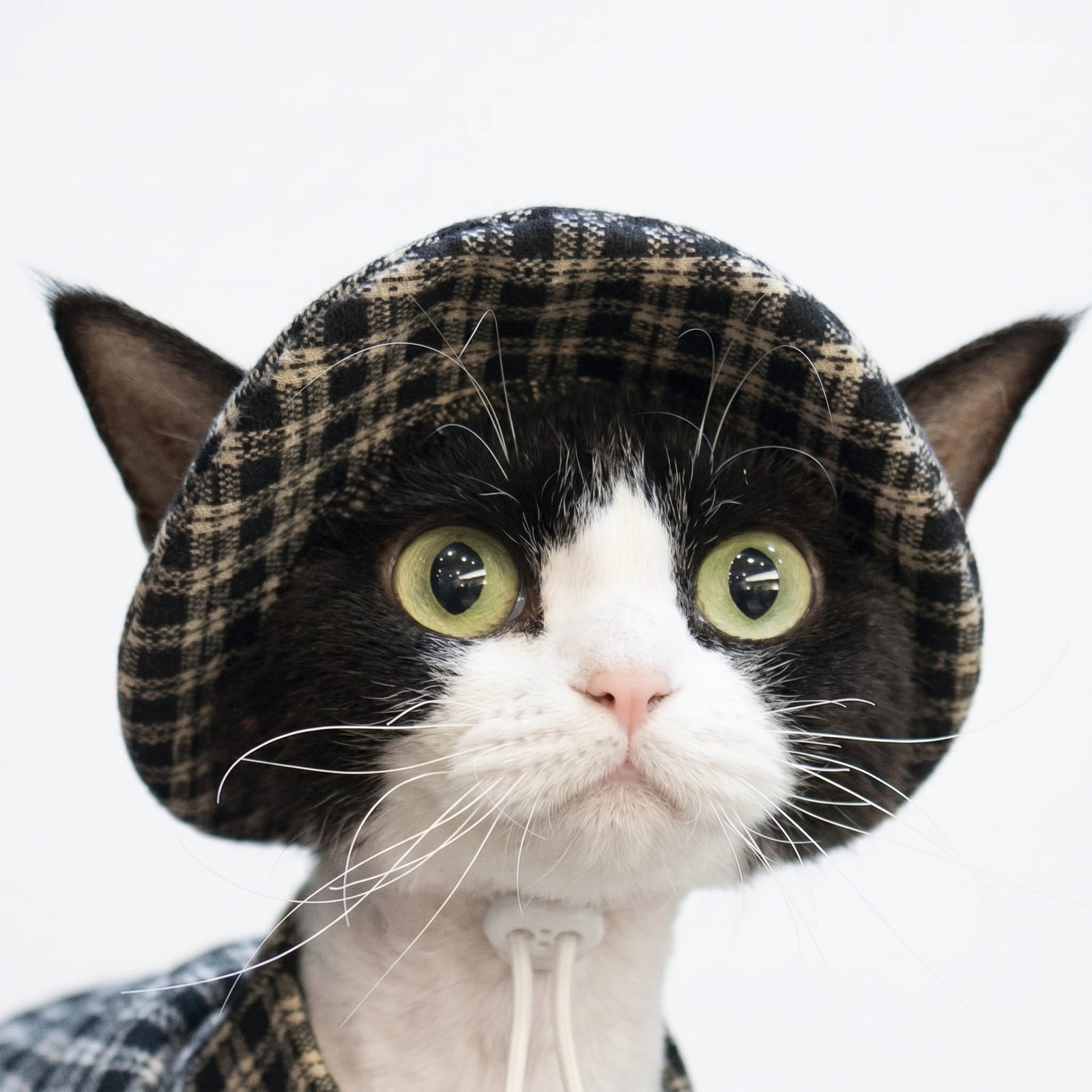 طقم كاروه مع قبعة - صورة 3