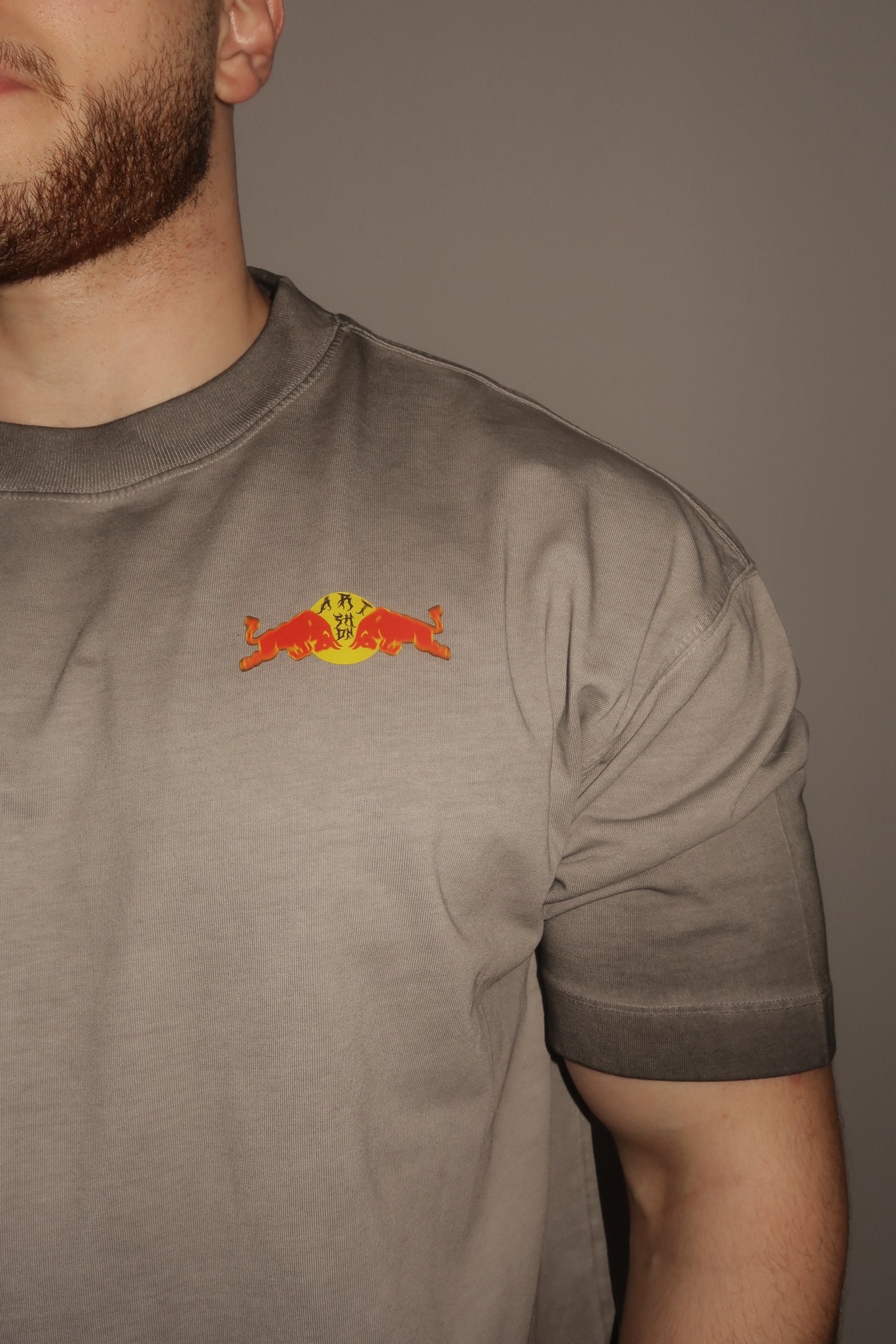 Wings - Image 4
