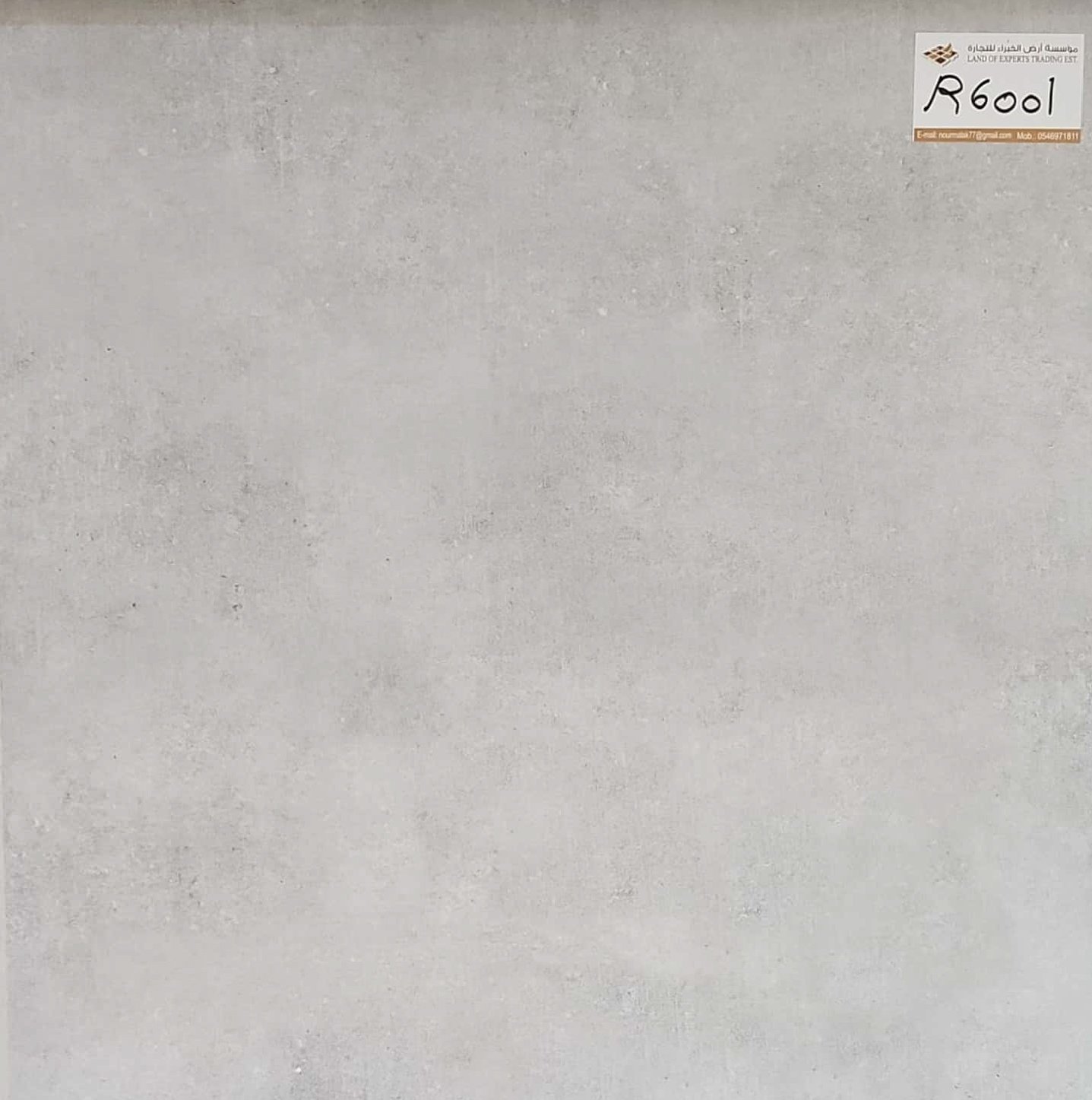 Porcelain Tiles R6001 - Image 2