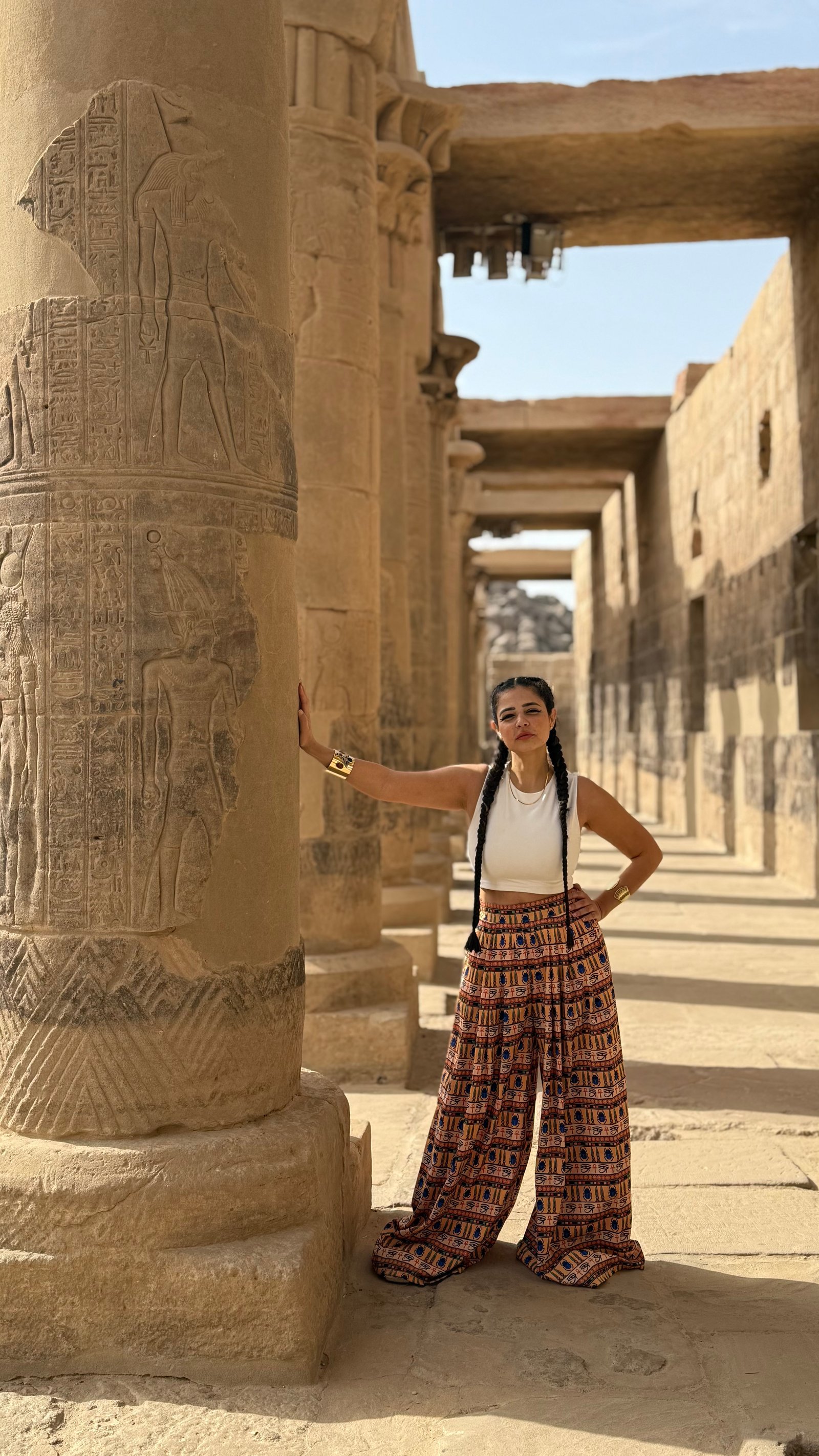 Scarab Pants - صورة 1