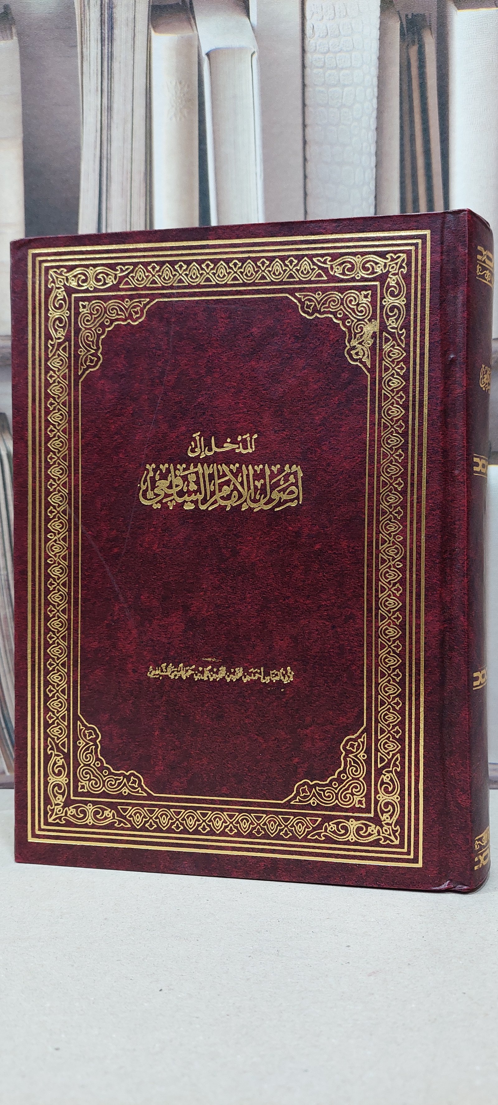 المدخل الى اصول الامام الشافعي 2/1     مصور / ابن حجر الهيتمي / تحقيق: مصطفى ديب البغا - صورة 1