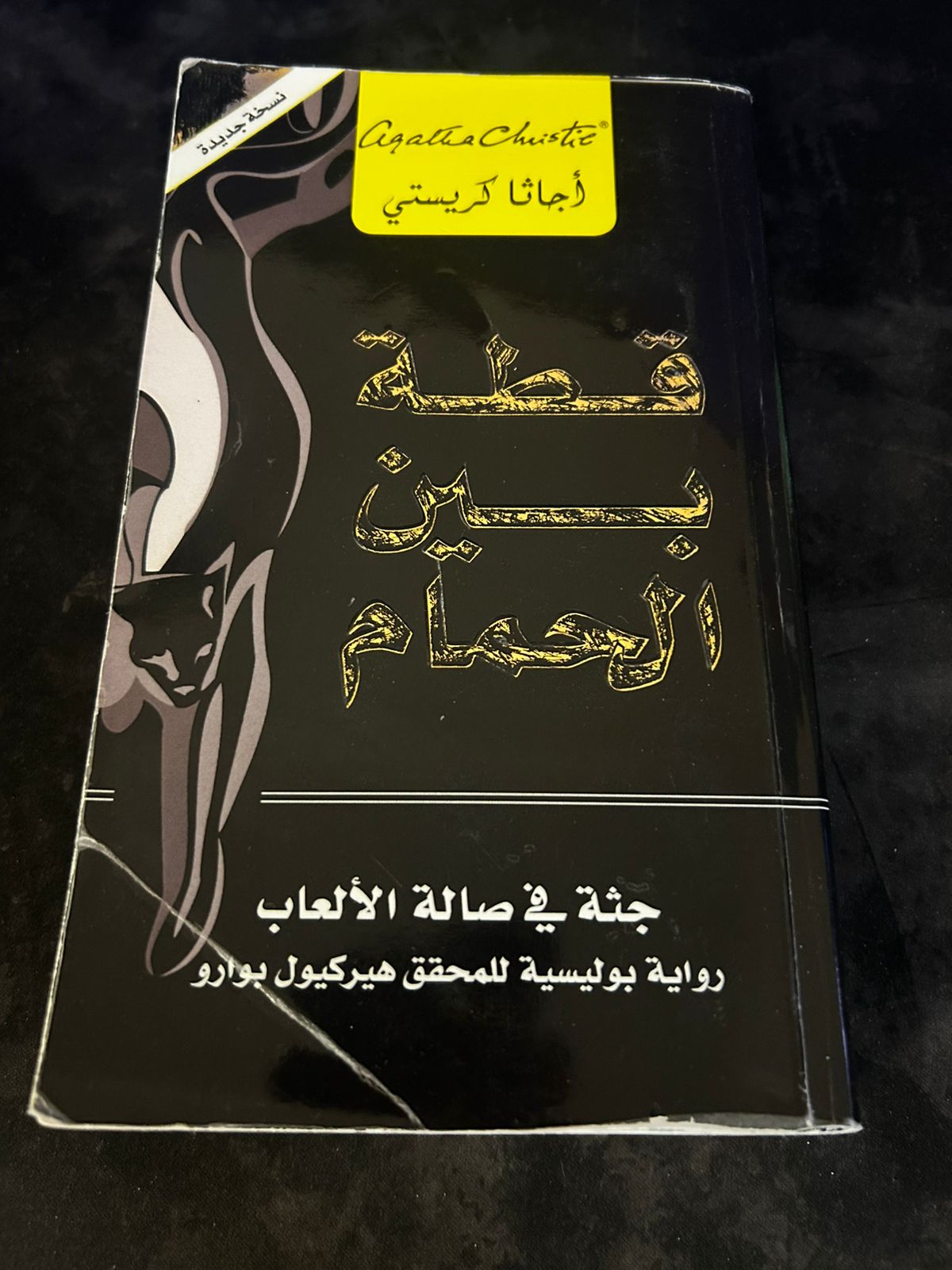 ✨ قطة بين الحمام | جريمة غامضة في قلب صالة الألعاب ✨ - صورة 2