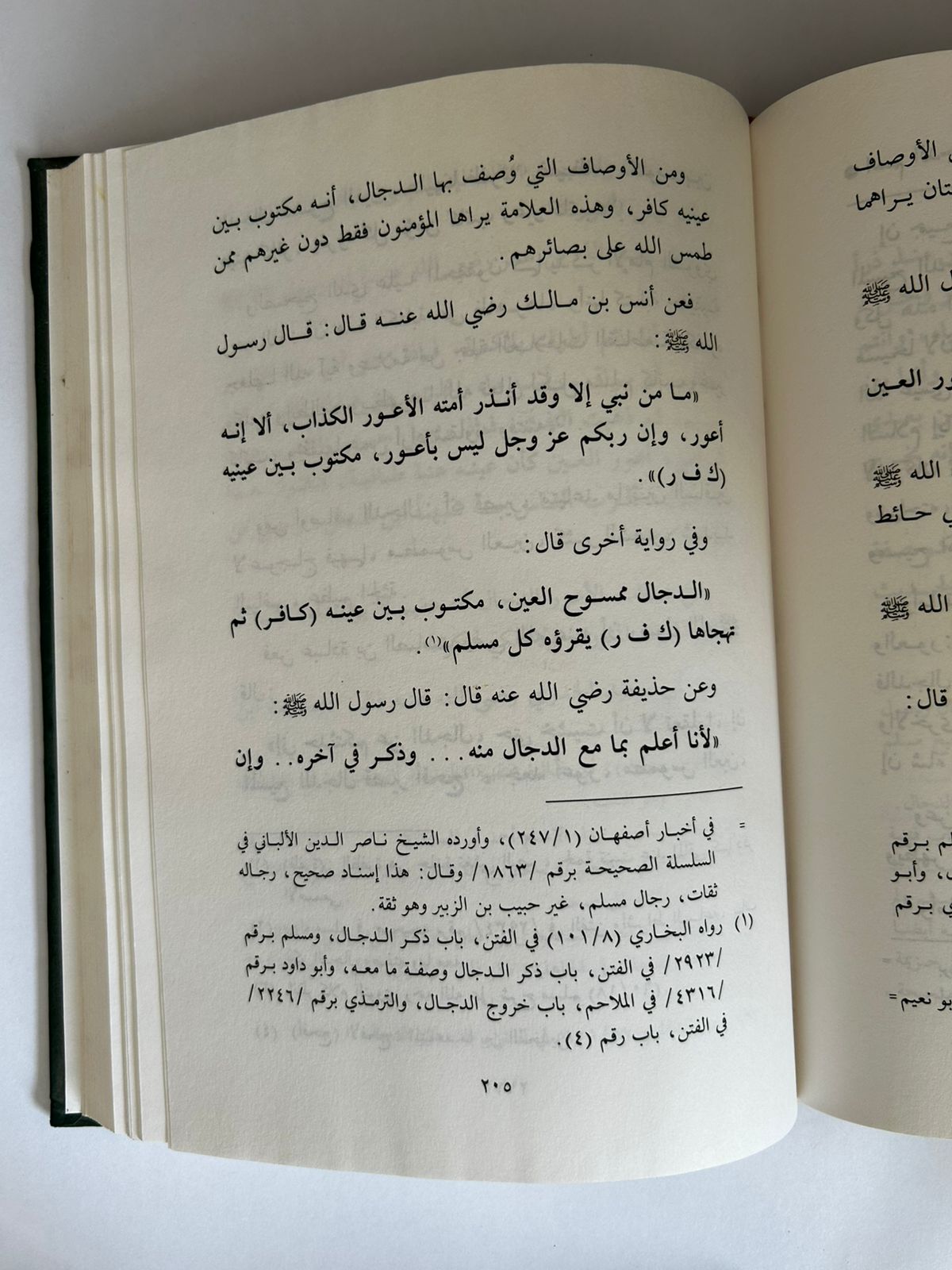 هذا الحبيب يا محب  - صورة 2