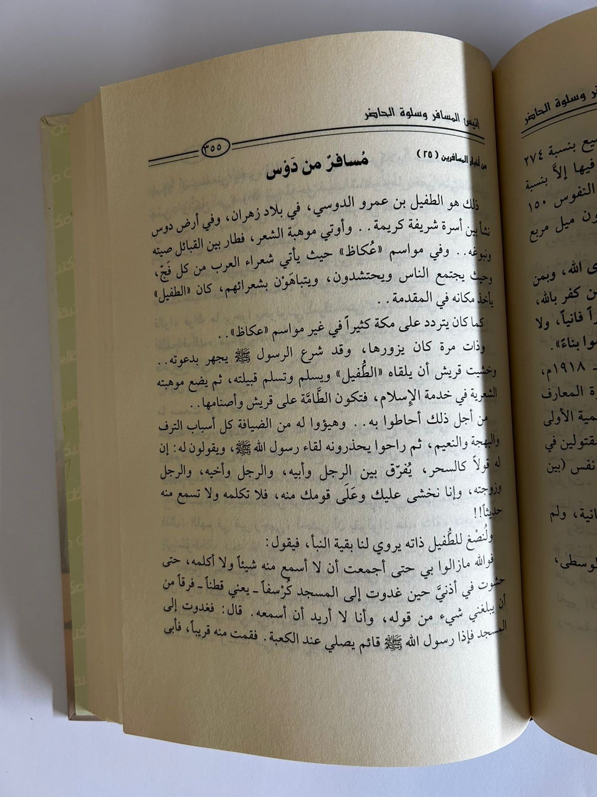 أنيس المسافر وسلوة الحاضر - صورة 2