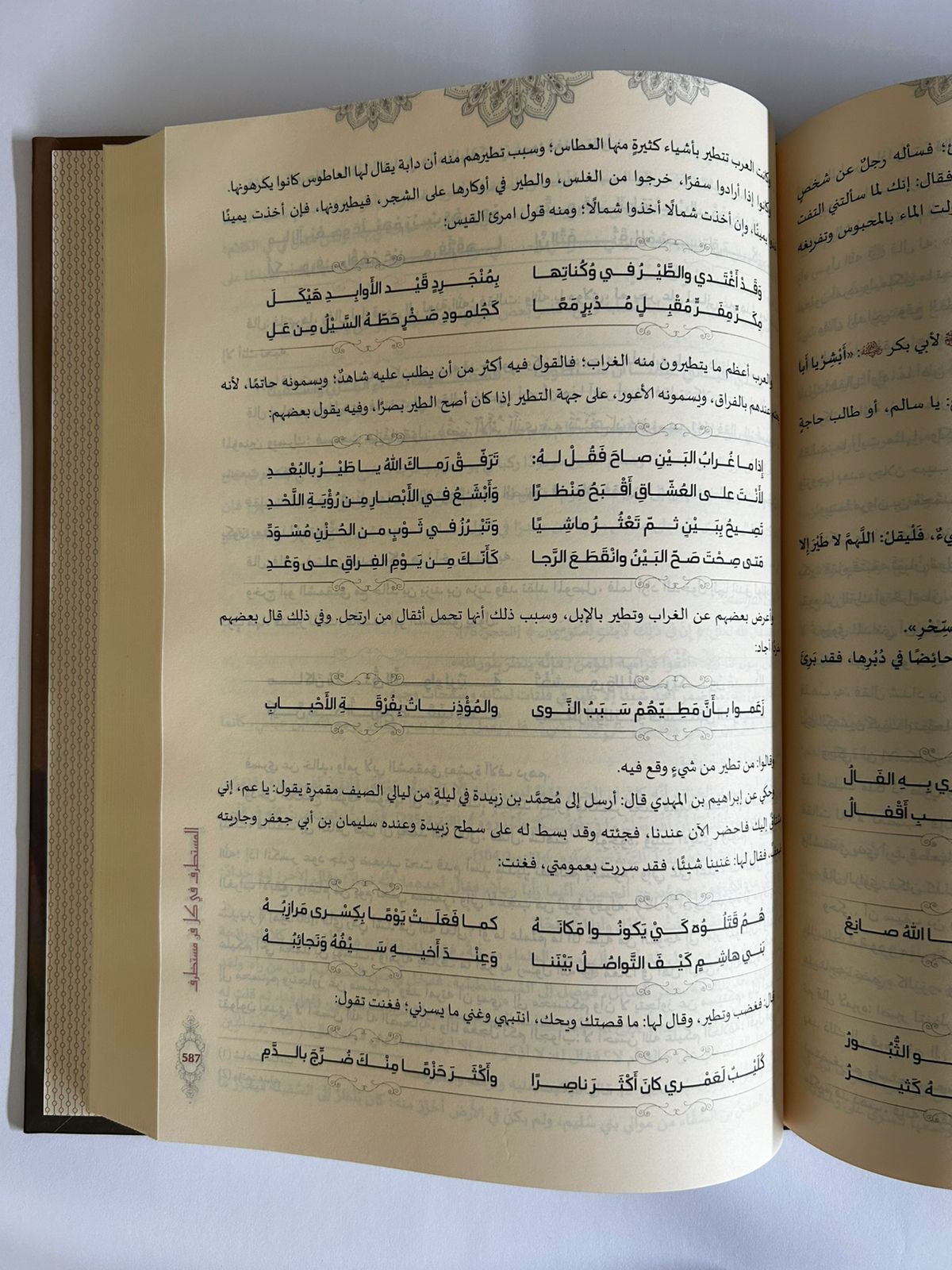 كتاب المستطرف في كل فن مستظرف - صورة 2