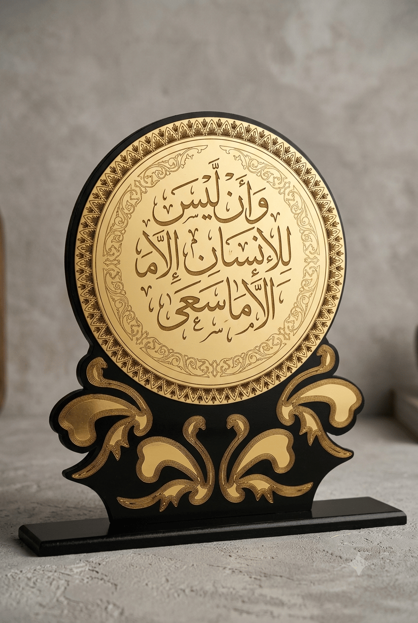 الدرع الدائري - صورة 2