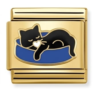Black Cat - Image 1