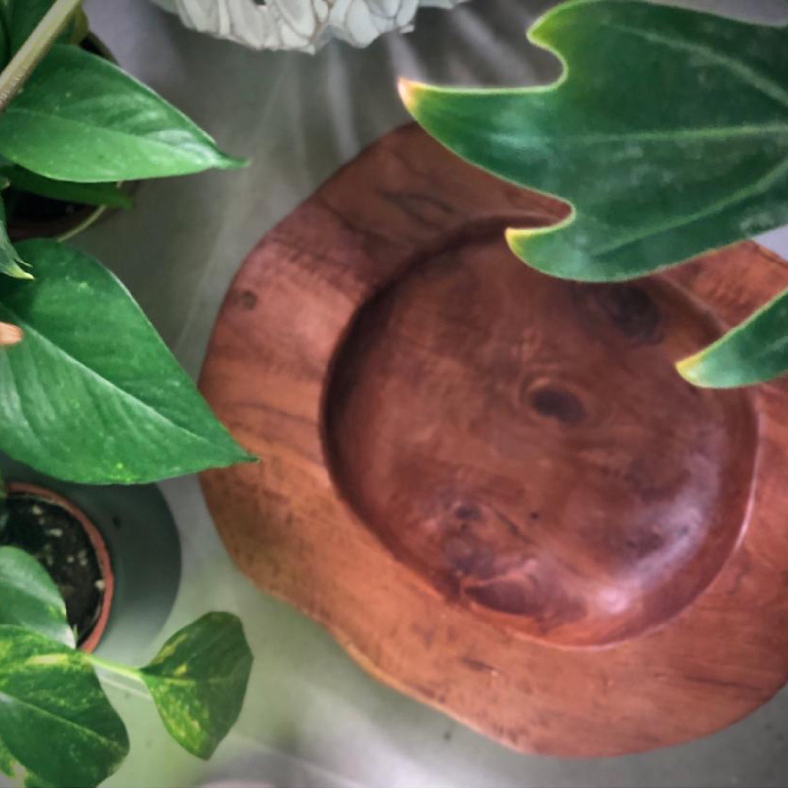Teak wood bowl - Image 5