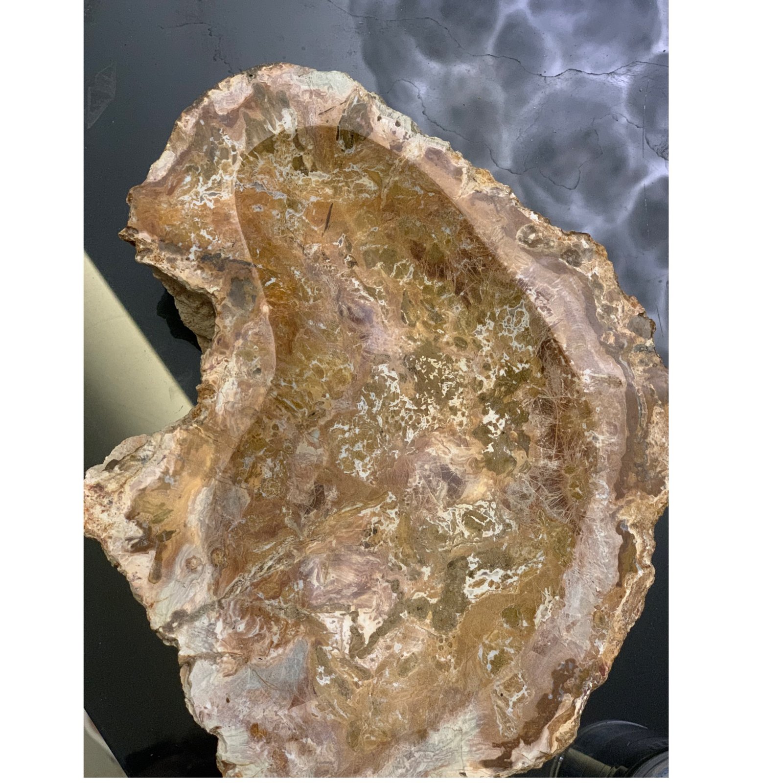 petrified wood ashtray - Image 3