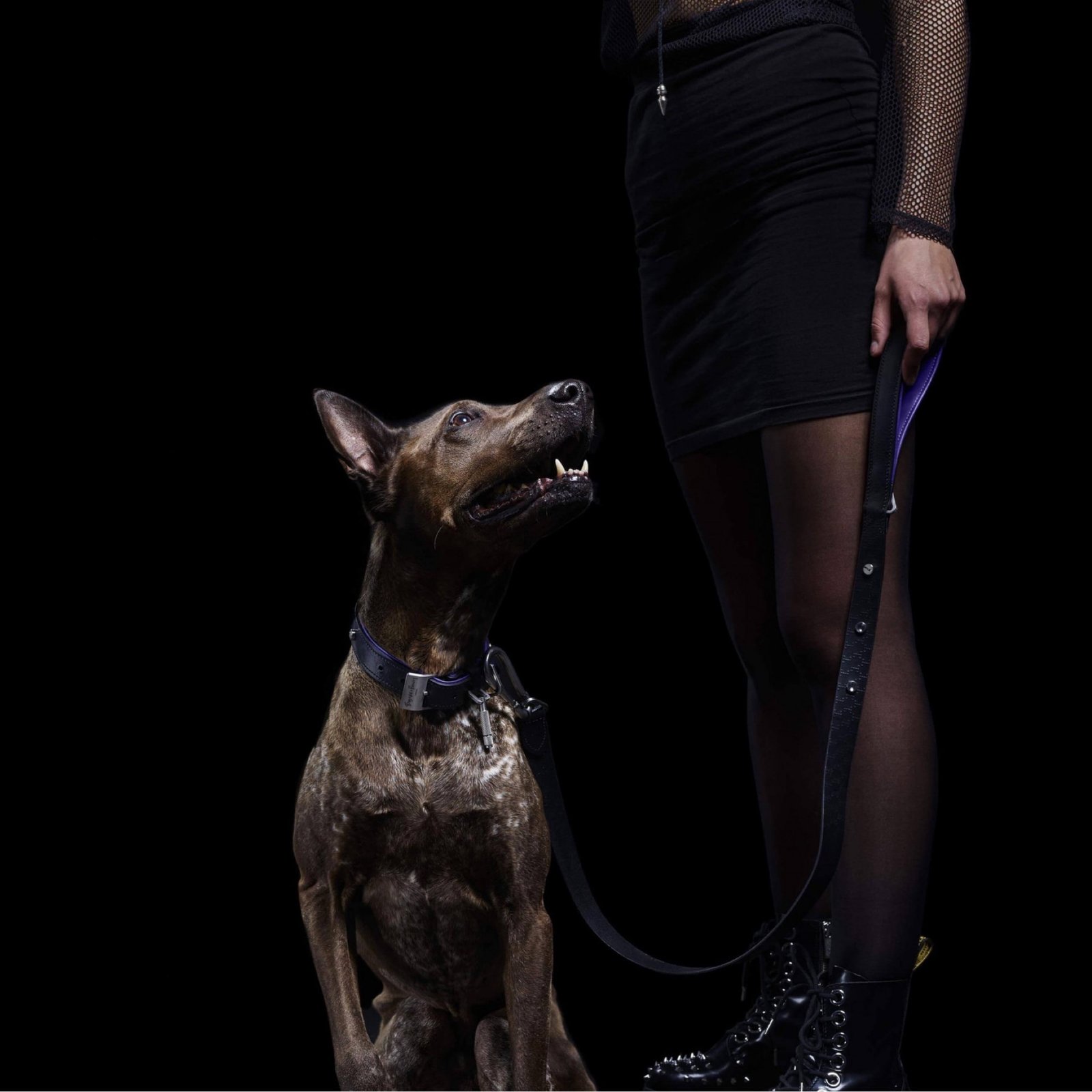 B&P dog leash - Image 2