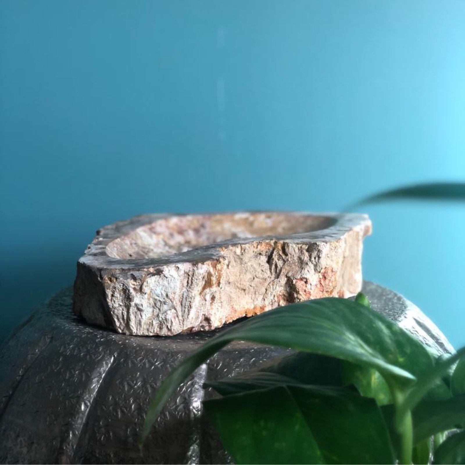 petrified wood ashtray - Image 1