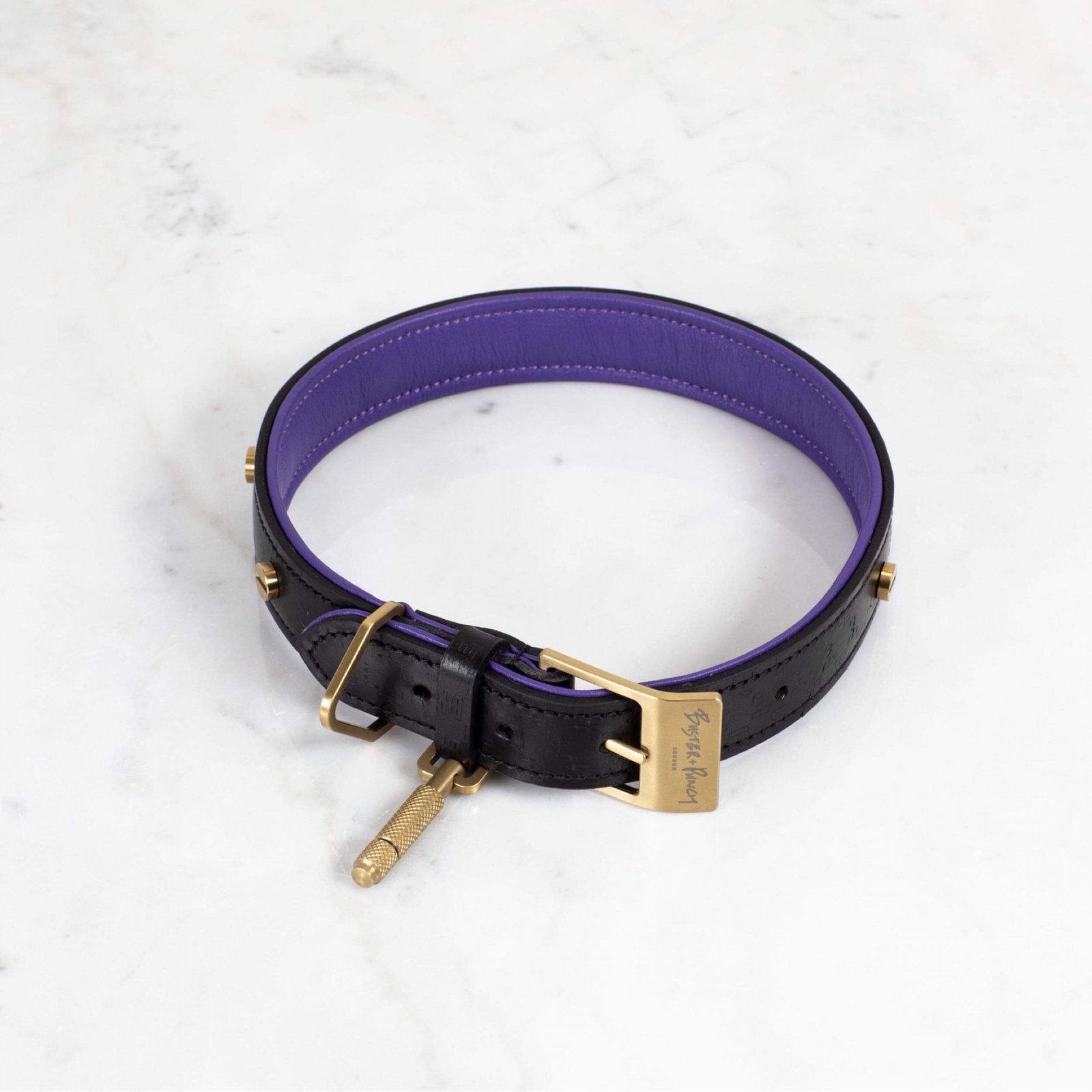 B&P dog collar  - صورة 3