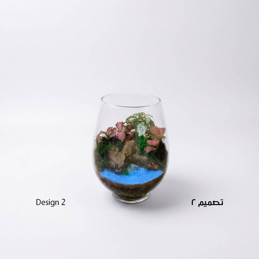 نبتة فيتونيا - صورة 1